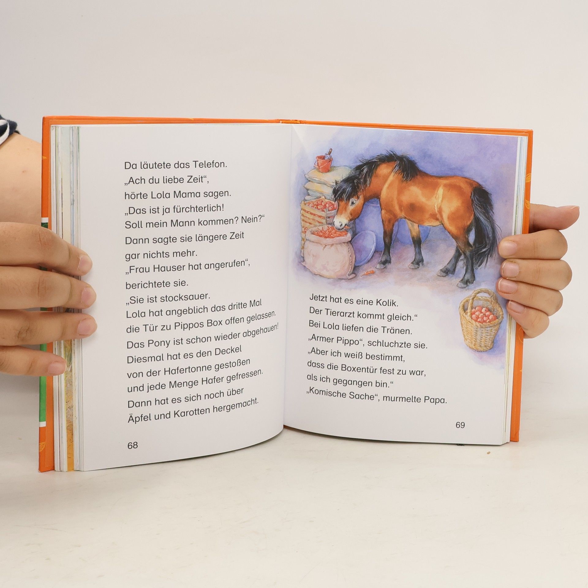 Autorenkollektiv Die schönsten Ponyhofgeschichten für Erstleser