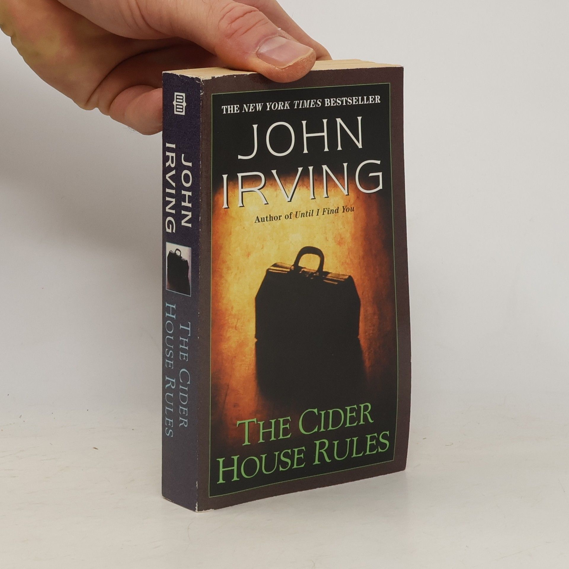 John Irving The cider house rules