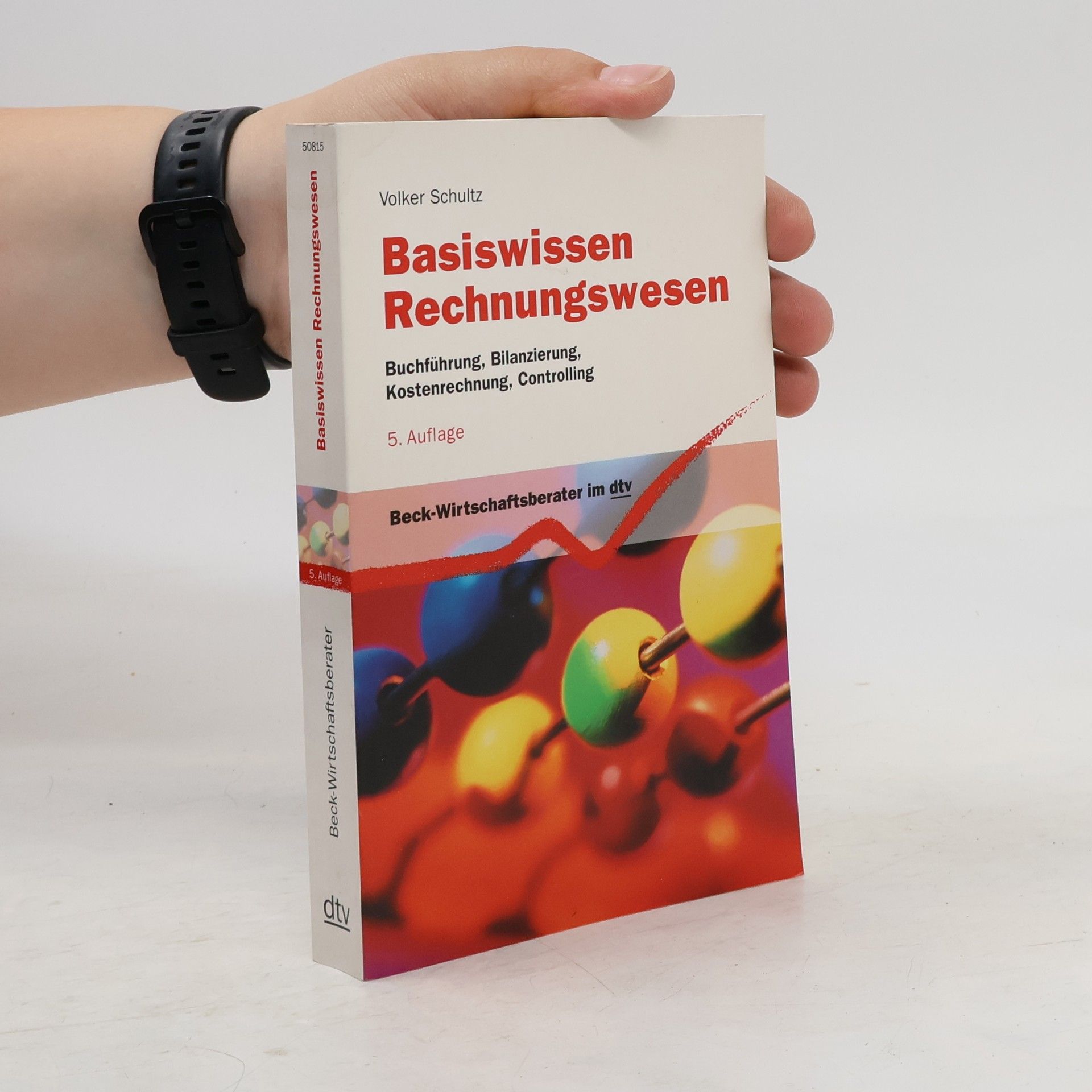 Volker Schultz Basiswissen Rechnungswesen