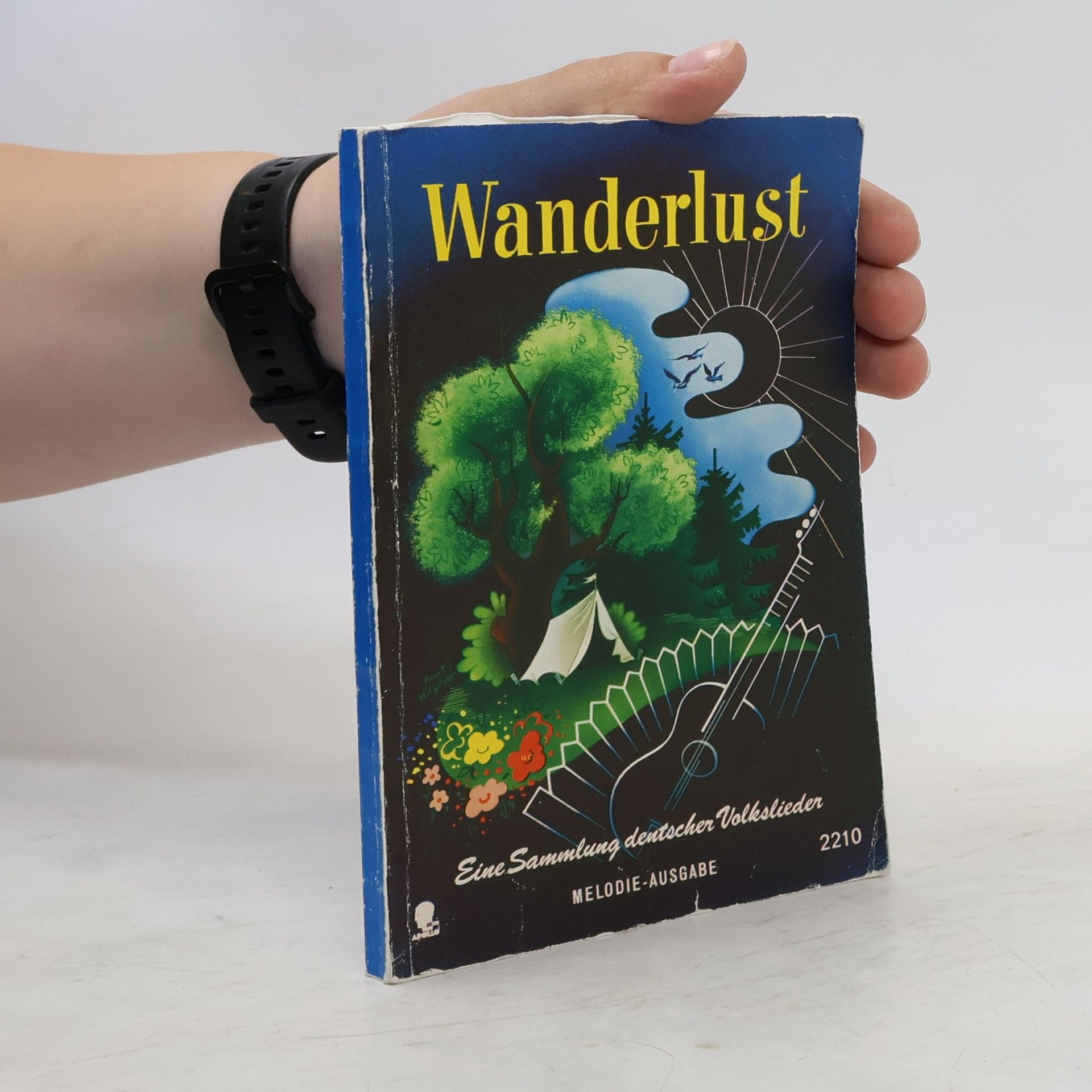 Collectif d'auteurs Wanderlust