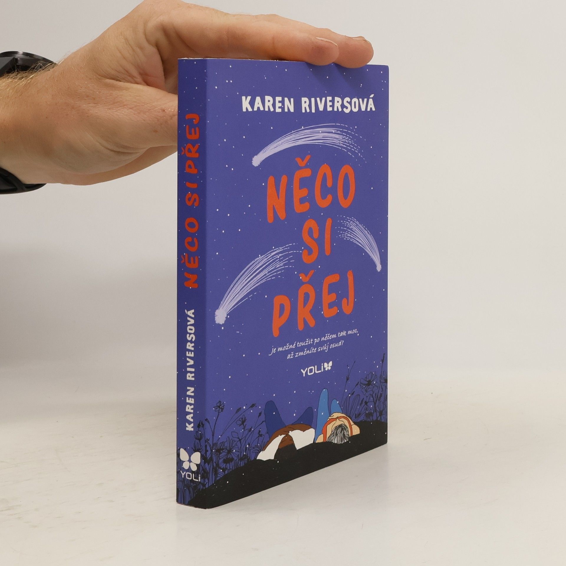 Karen Rivers Něco si přej