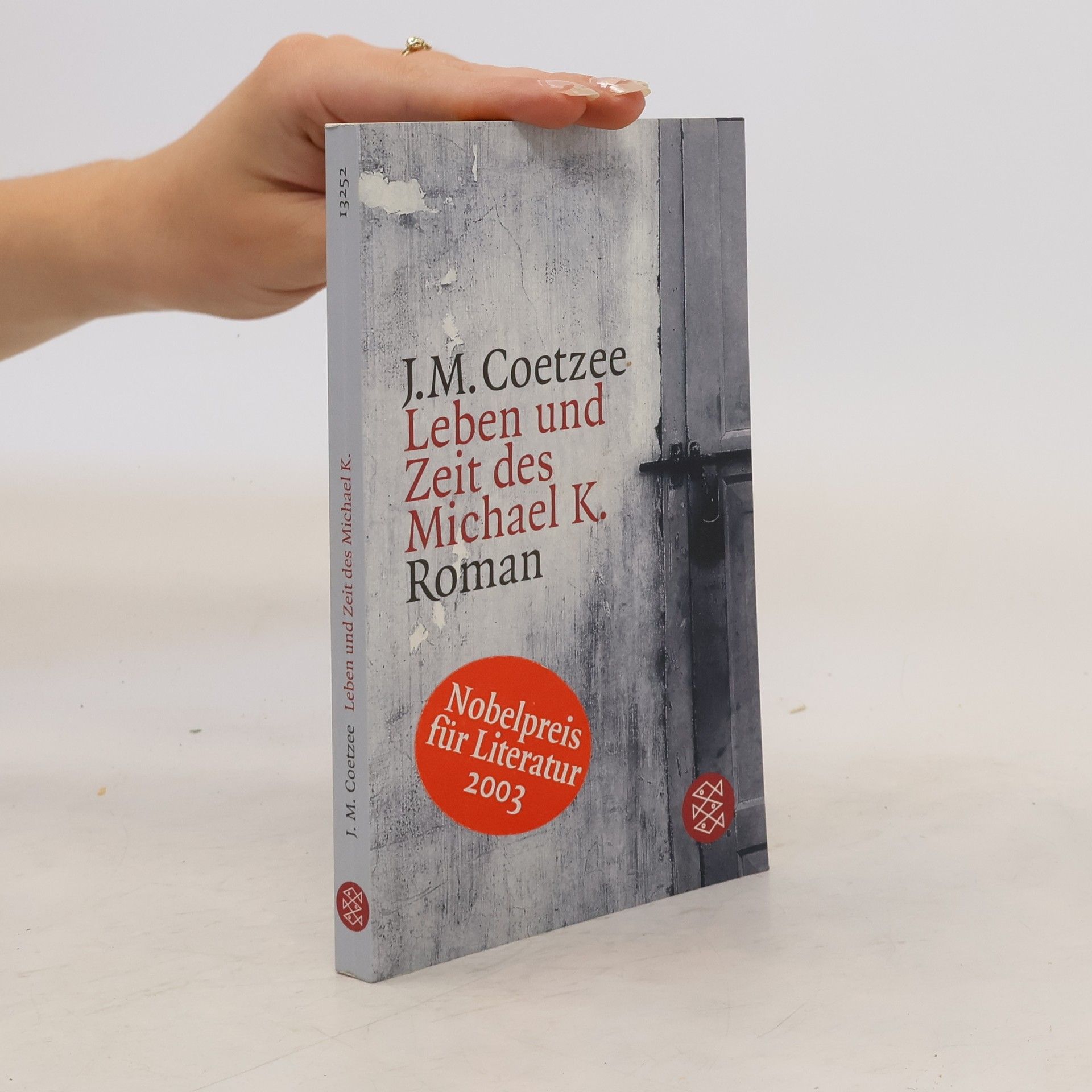 John Maxwell Coetzee Leben und Zeit des Michael K.