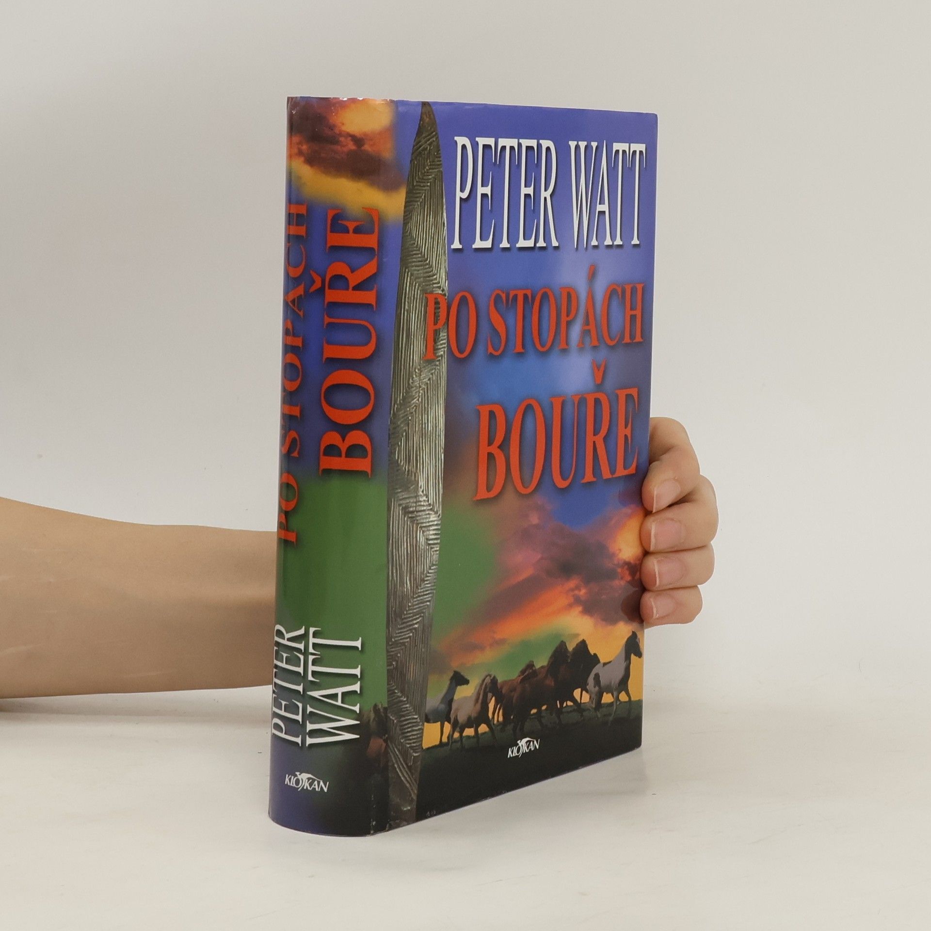 Peter Watt Po stopách bouře