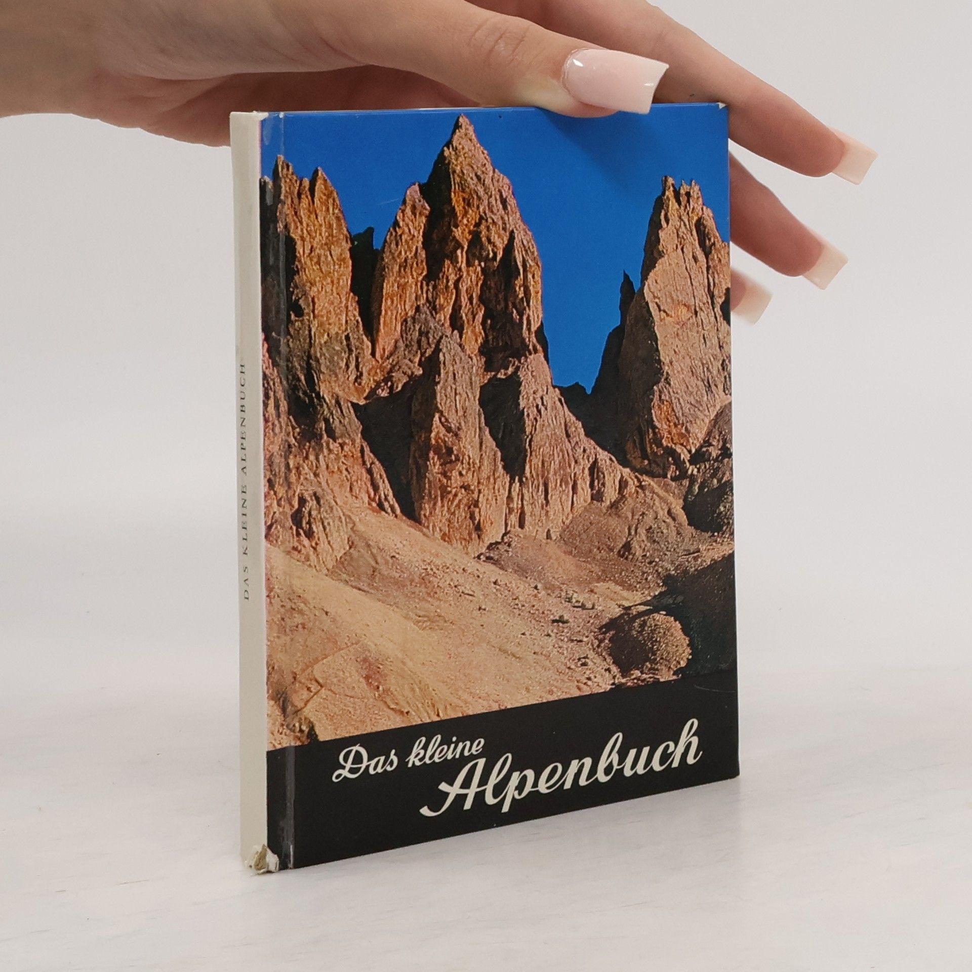 Autorenkollektiv Das kleine Alpenbuch