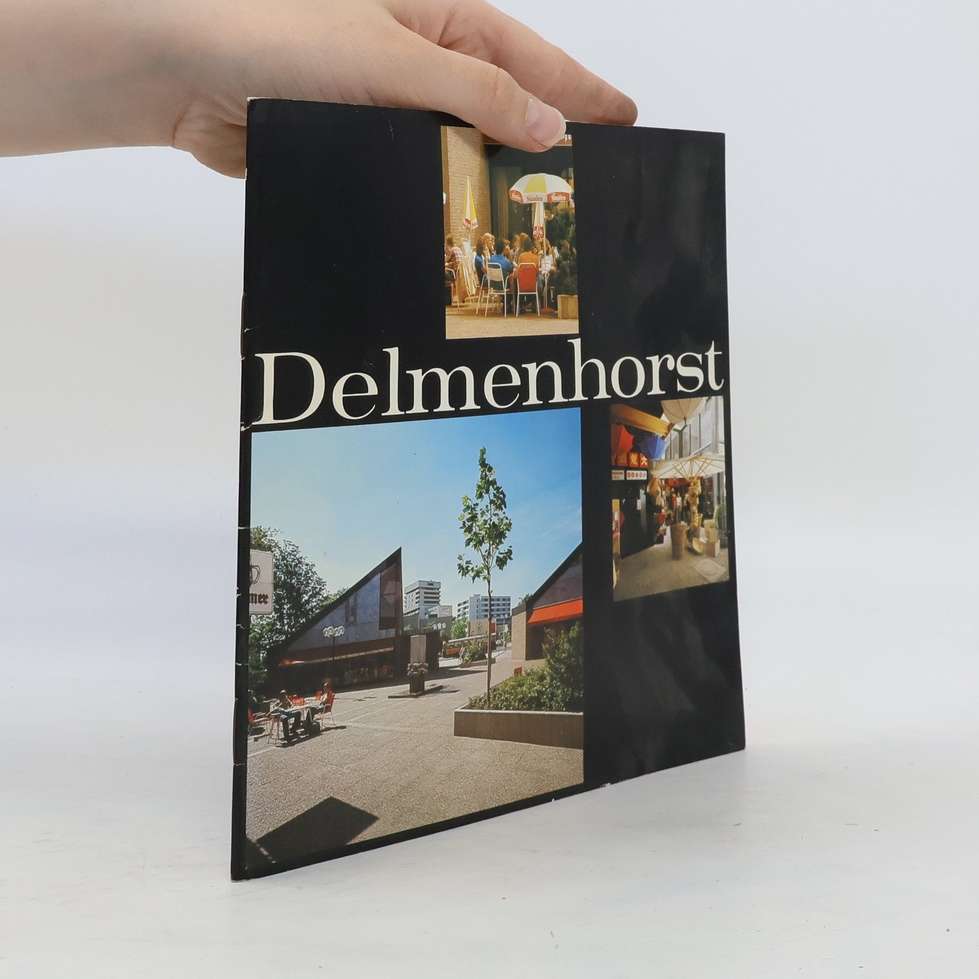 Collectif d'auteurs Delmenhorst