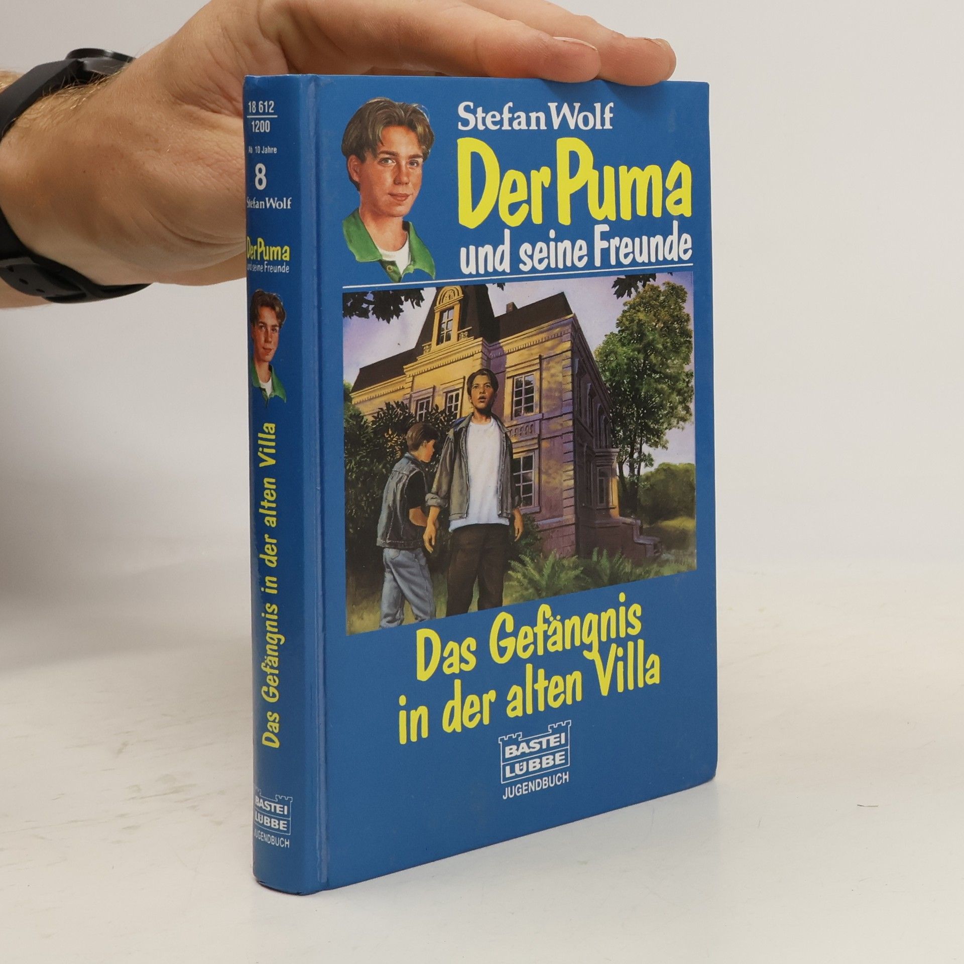 Stefan Wolf Der Puma und seine Freunde, Das Gefängnis in der alten Villa.