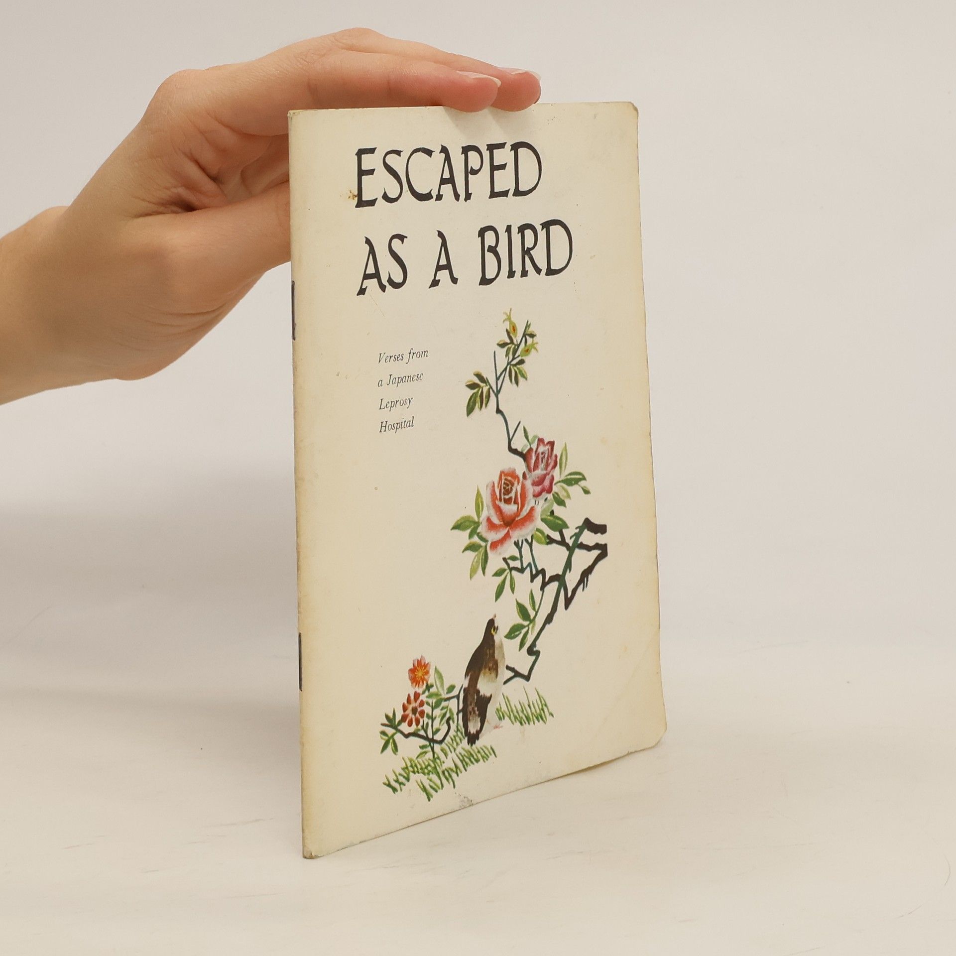 Lois Erickson Escaped as a Bird