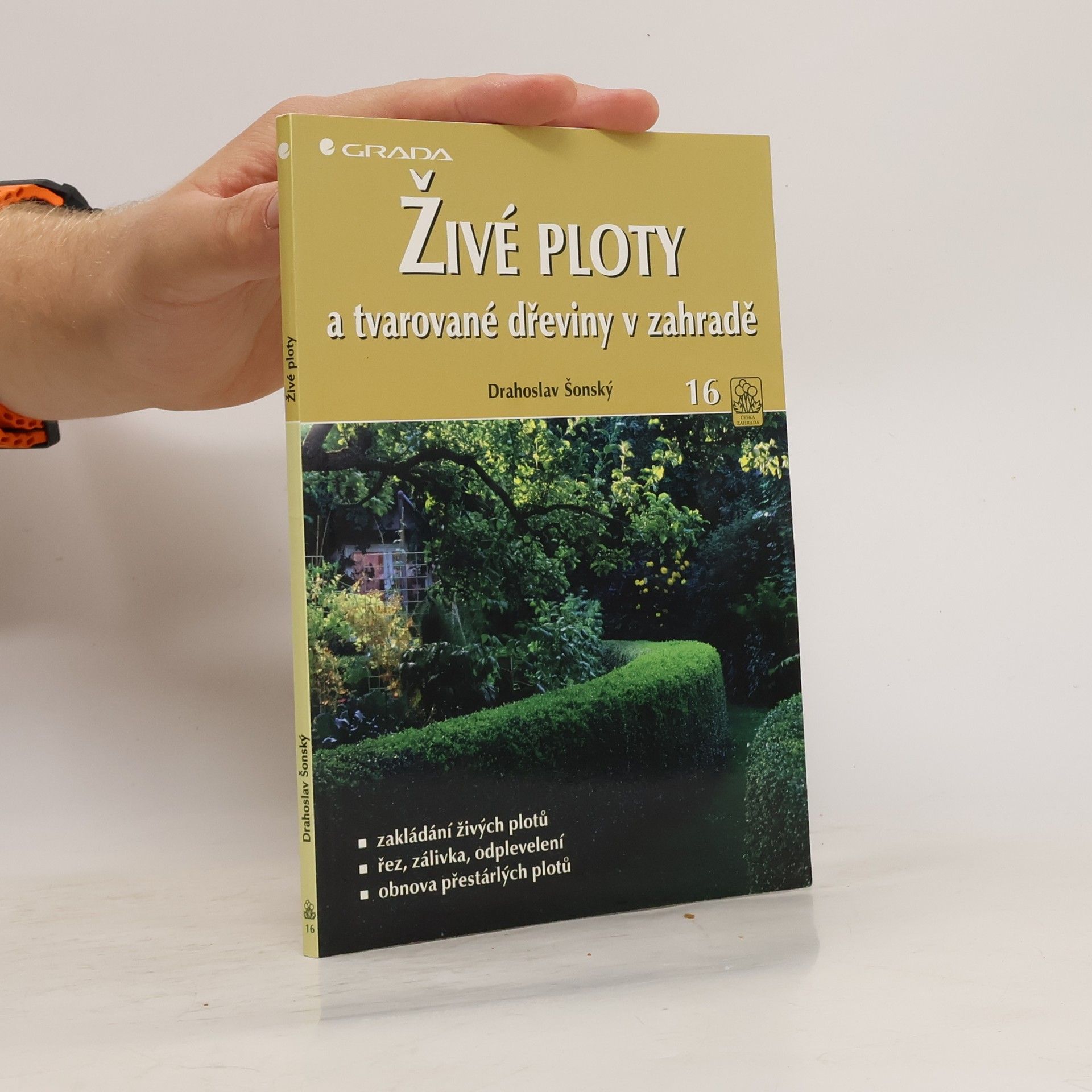 Živé ploty a tvarované dřeviny v zahradě