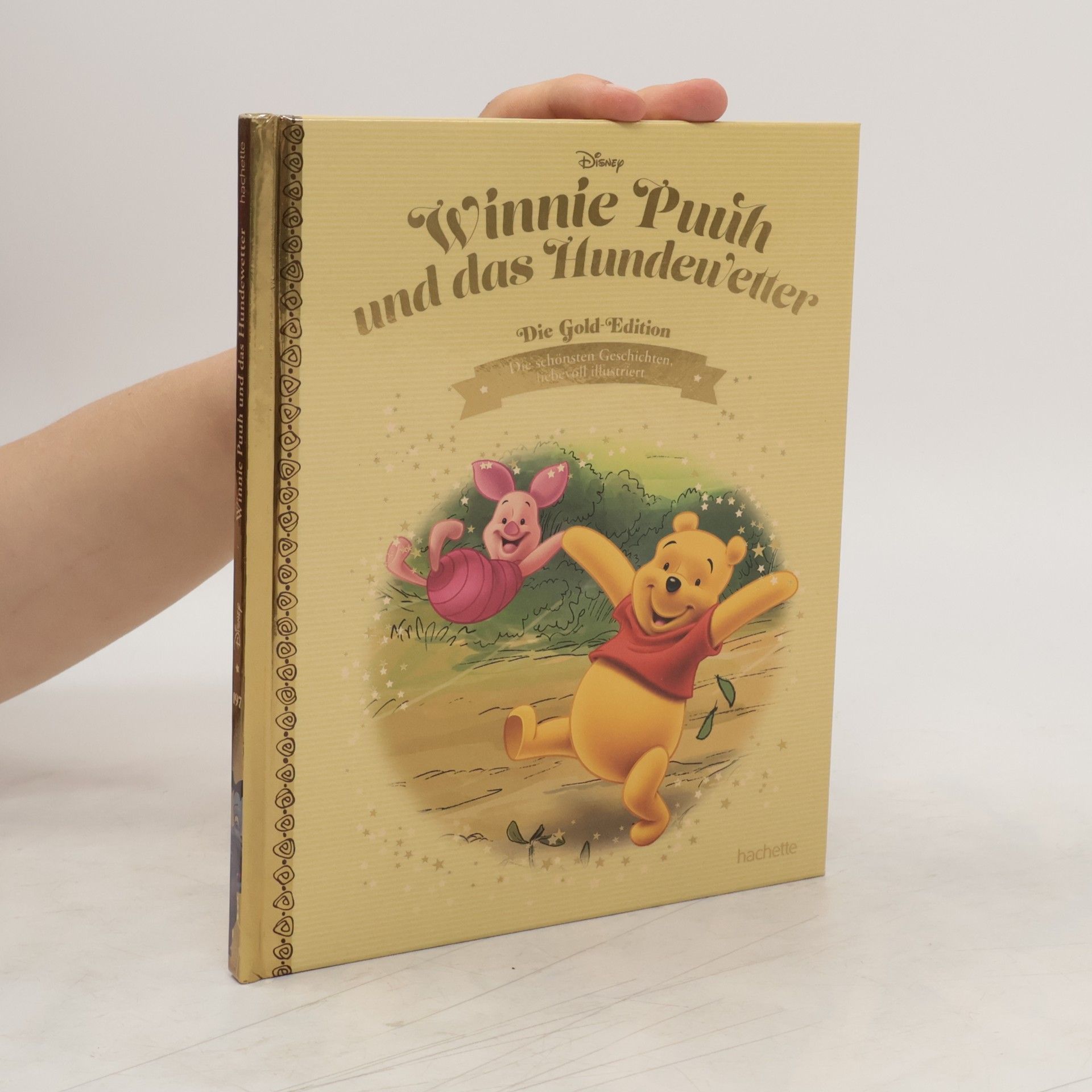 Autorenkollektiv Winnie Puuh und das Hundewetter