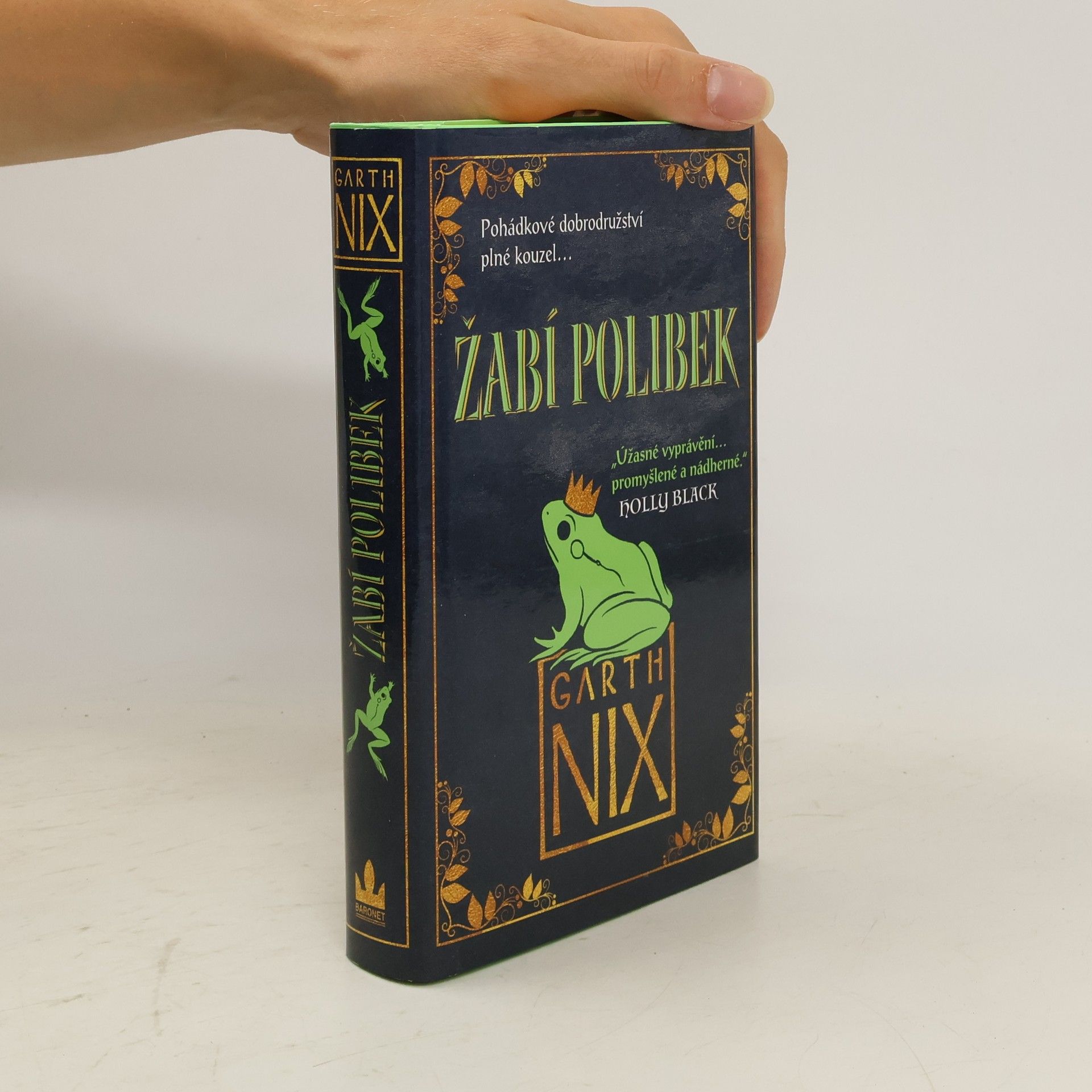 Garth Nix Žabí polibek