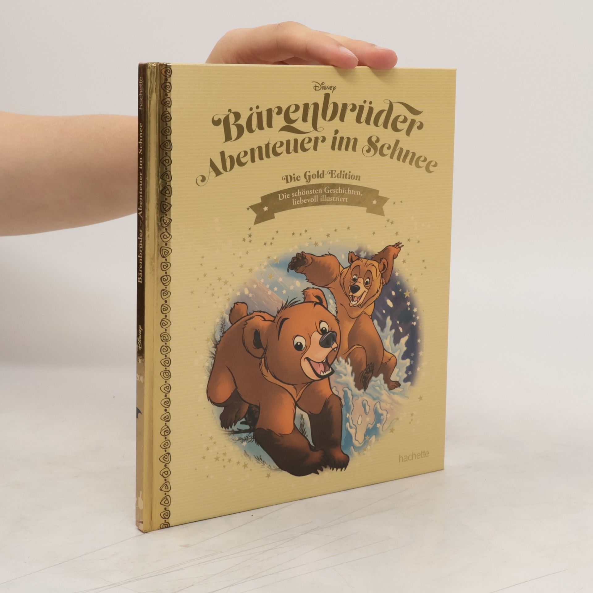 Collectif d'auteurs Bärenbrüder Abenteuer im Schnee