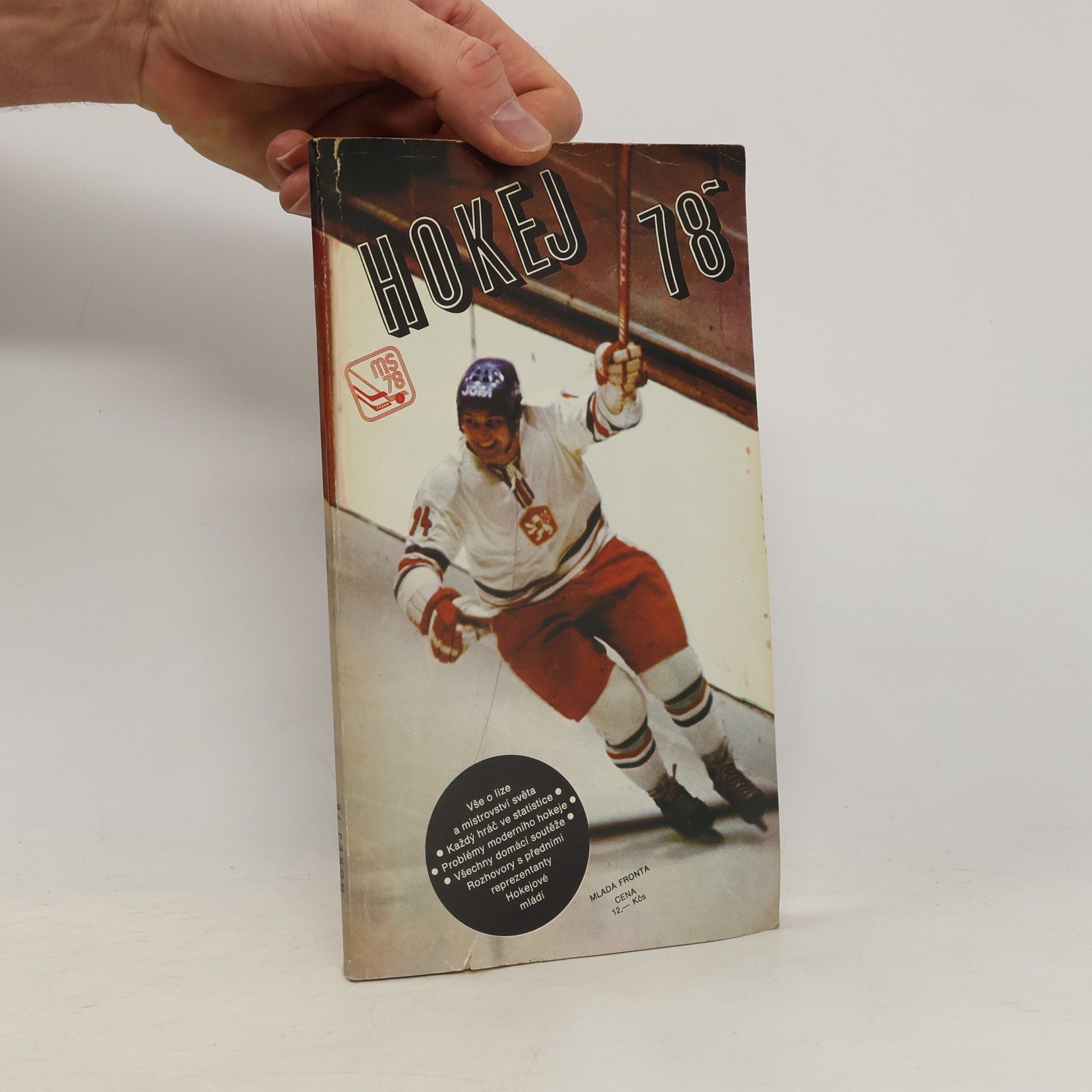 Autorenkollektiv Hokej 78'