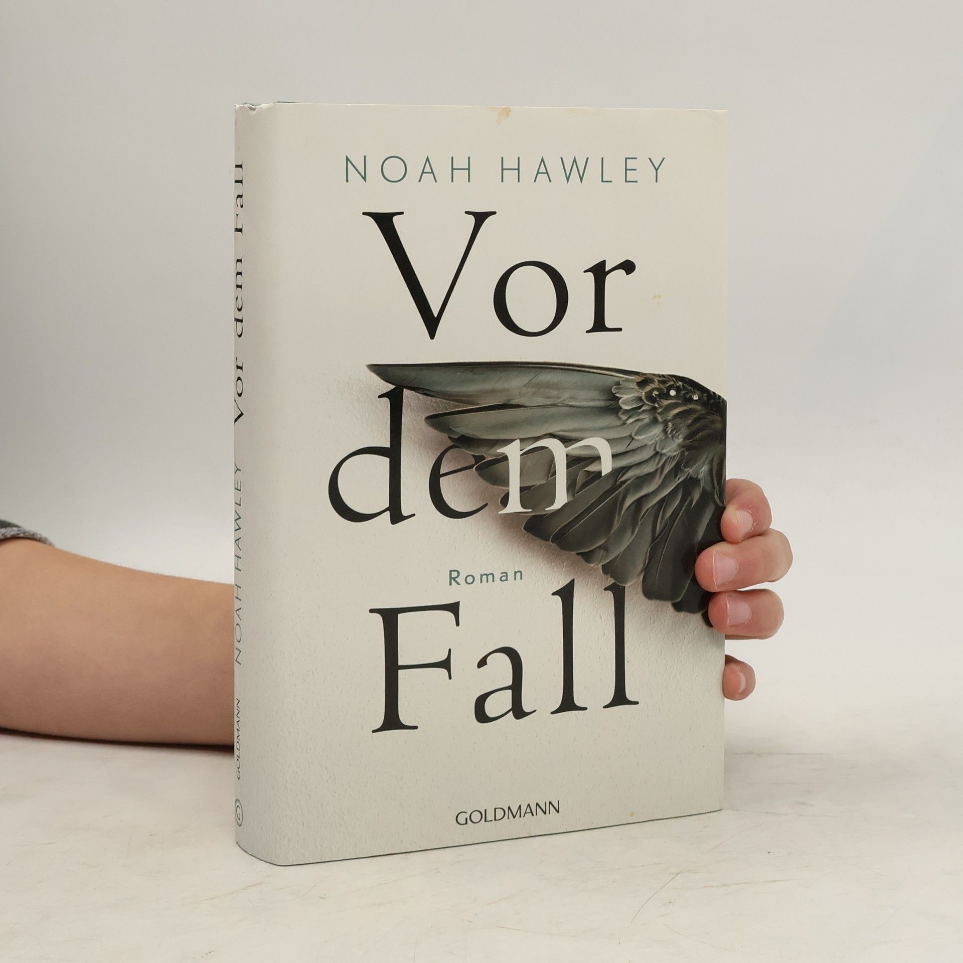 Noah Hawley Vor dem Fall