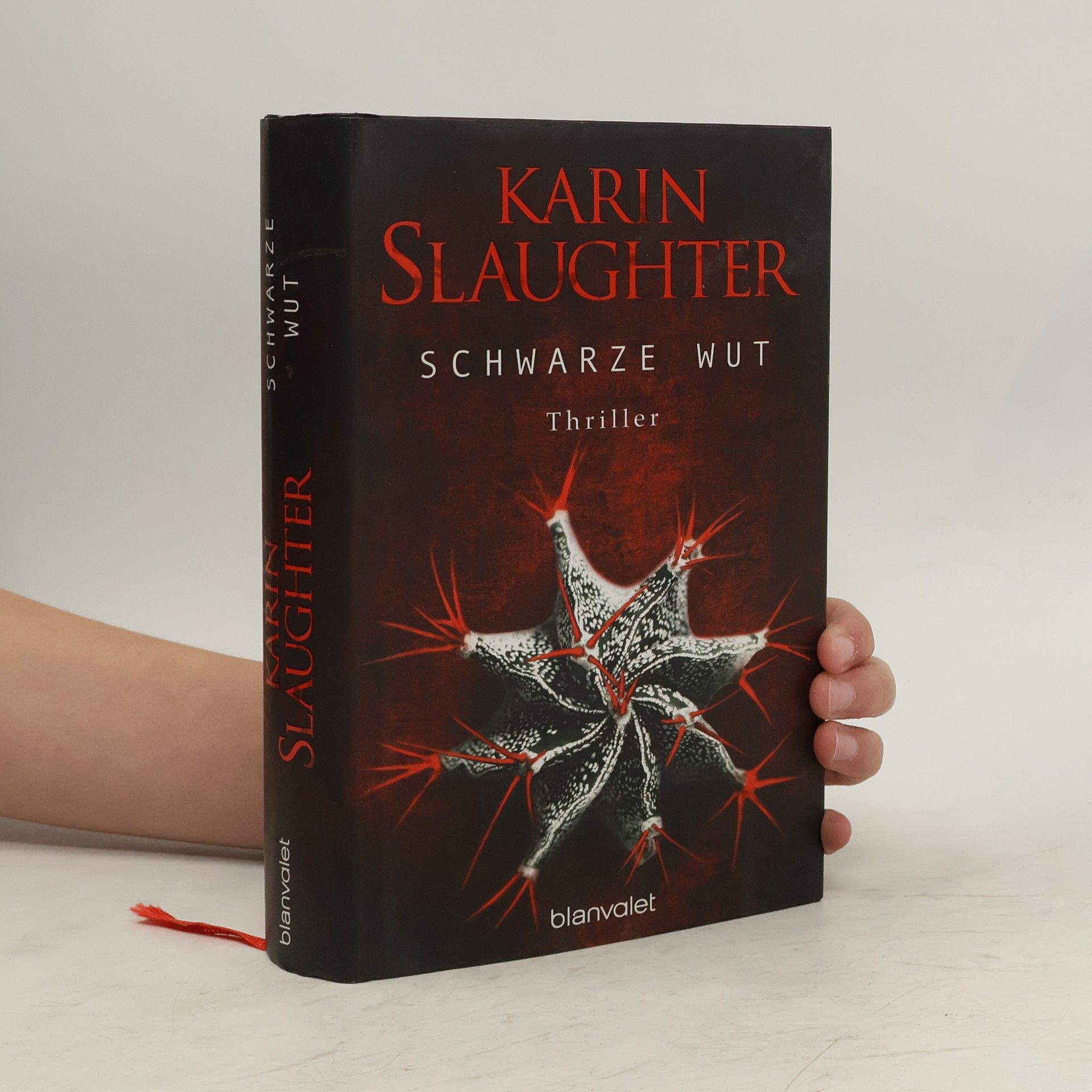 Karin Slaughter Schwarze Wut