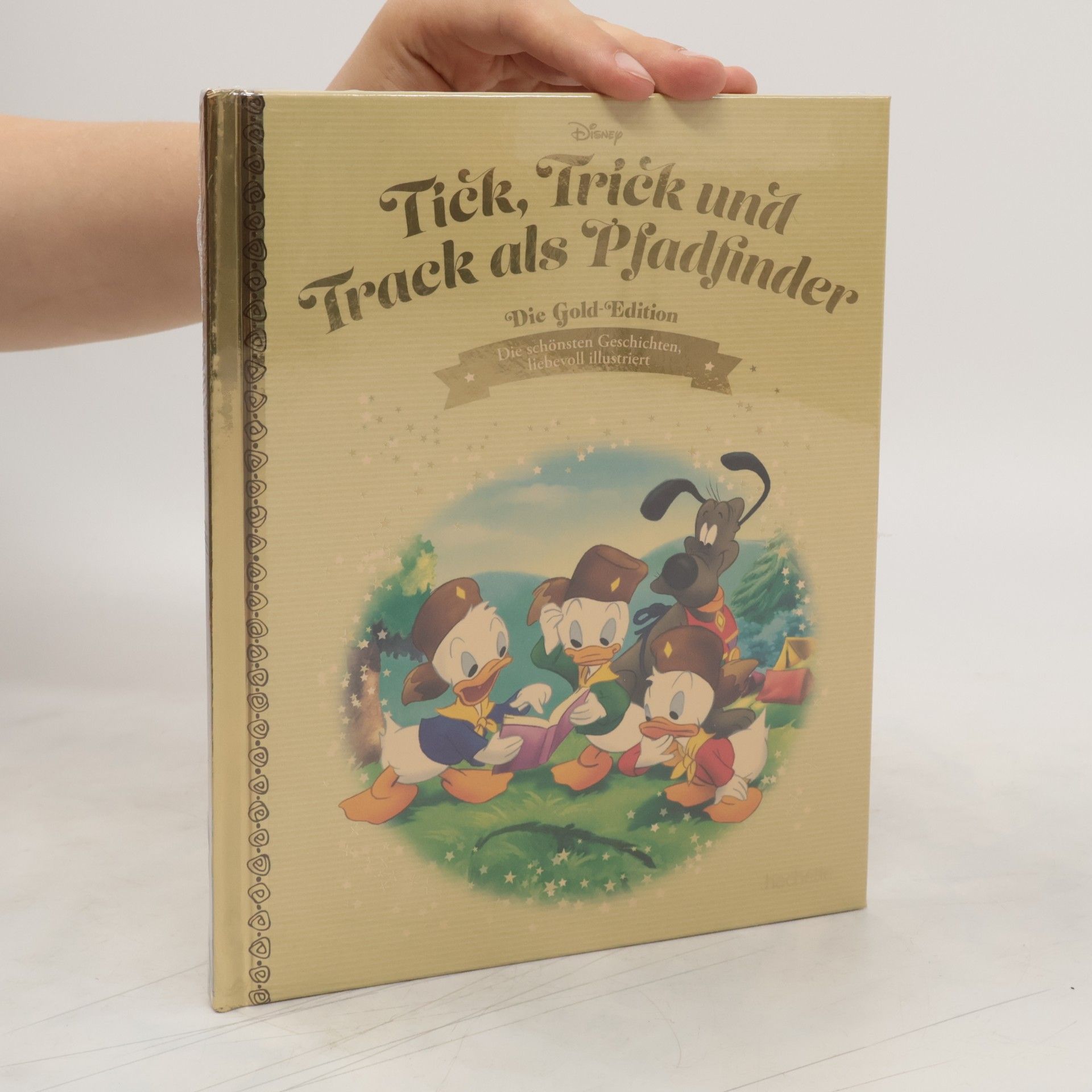 Autorenkollektiv Tick, Trick und Track als Pfadfinder