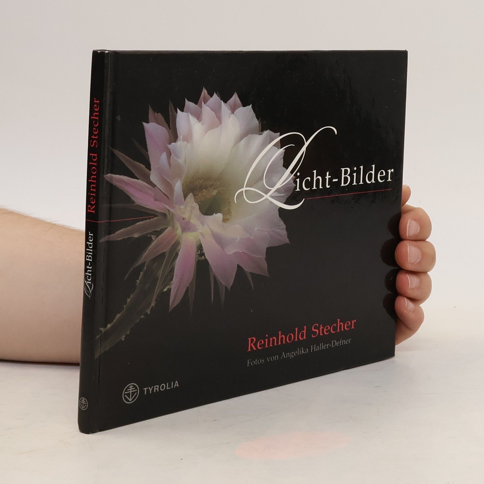 Reinhold Stecher Licht-Bilder