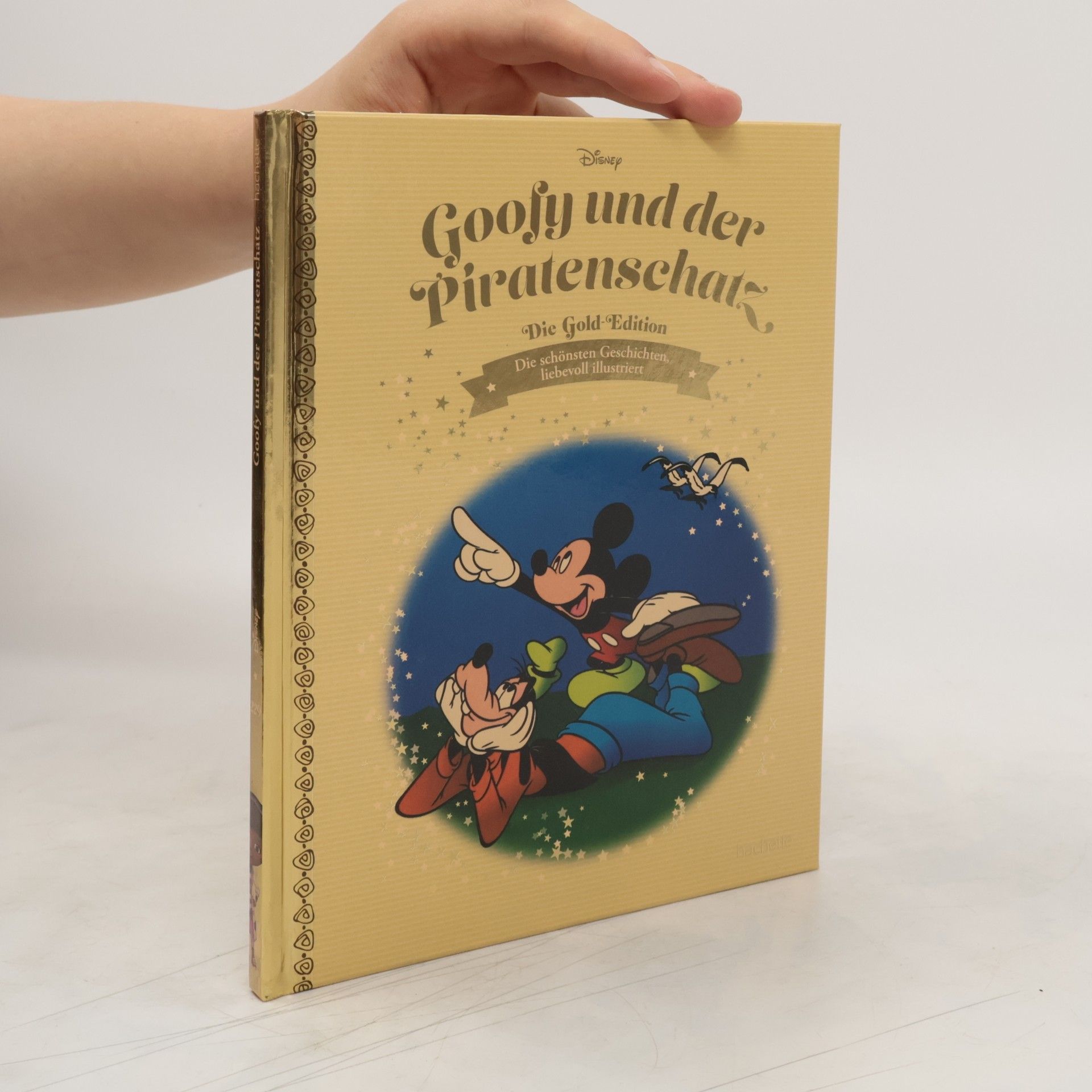 Autorenkollektiv Goofy und der Piratenschatz