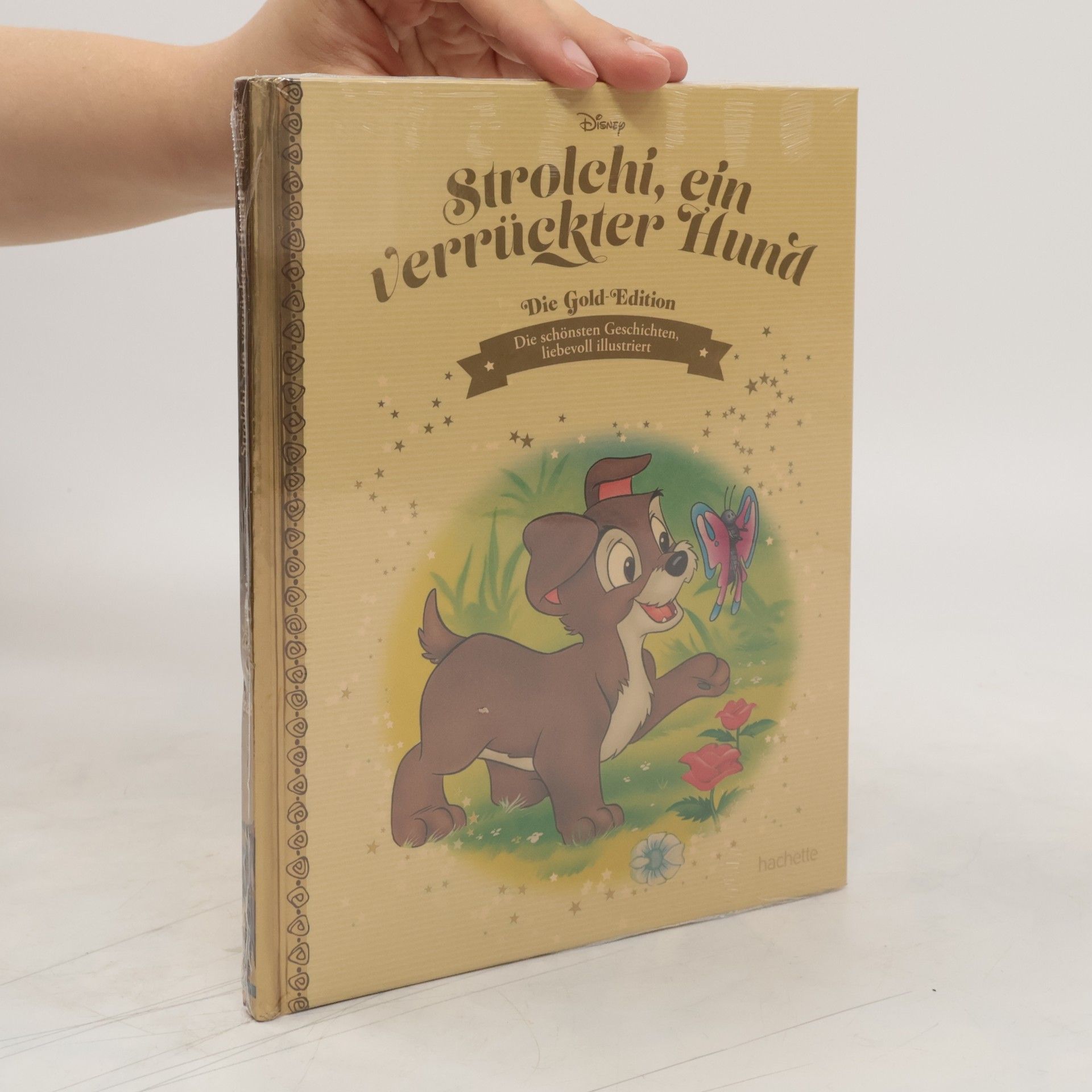 Collective Strolchi, ein verrückter Hund