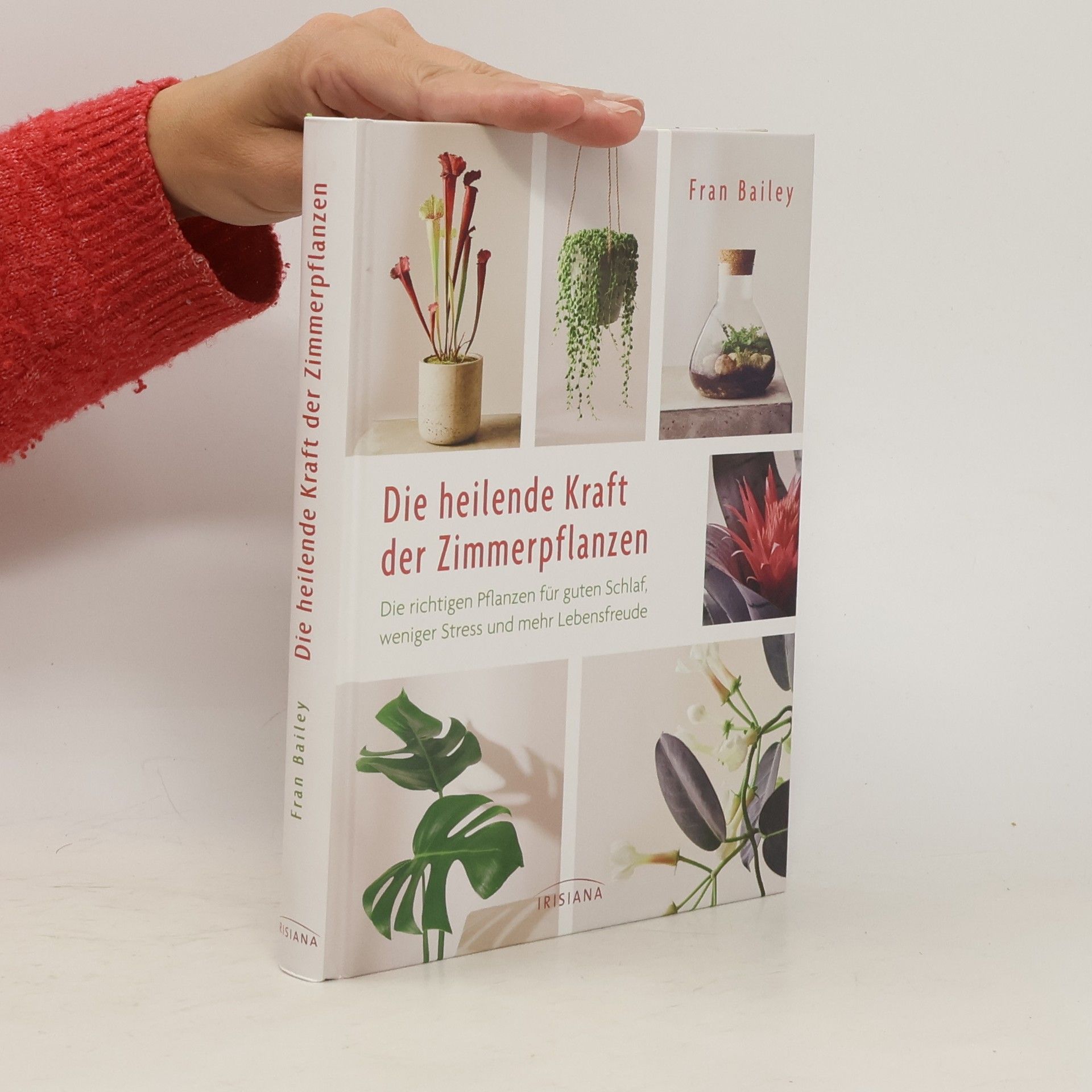 Fran Bailey Die heilende Kraft der Zimmerpflanzen