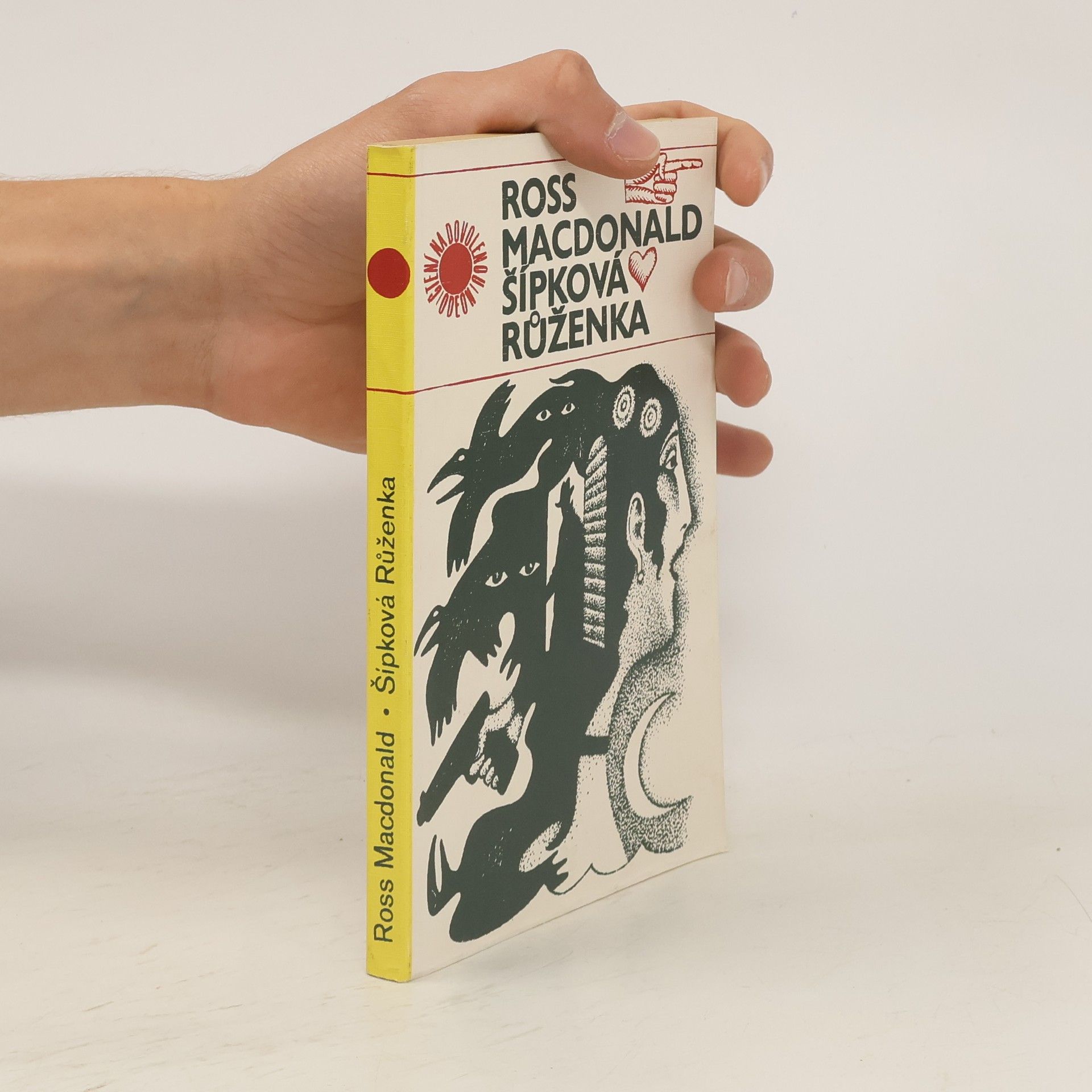 Ross Macdonald Šípková Růženka