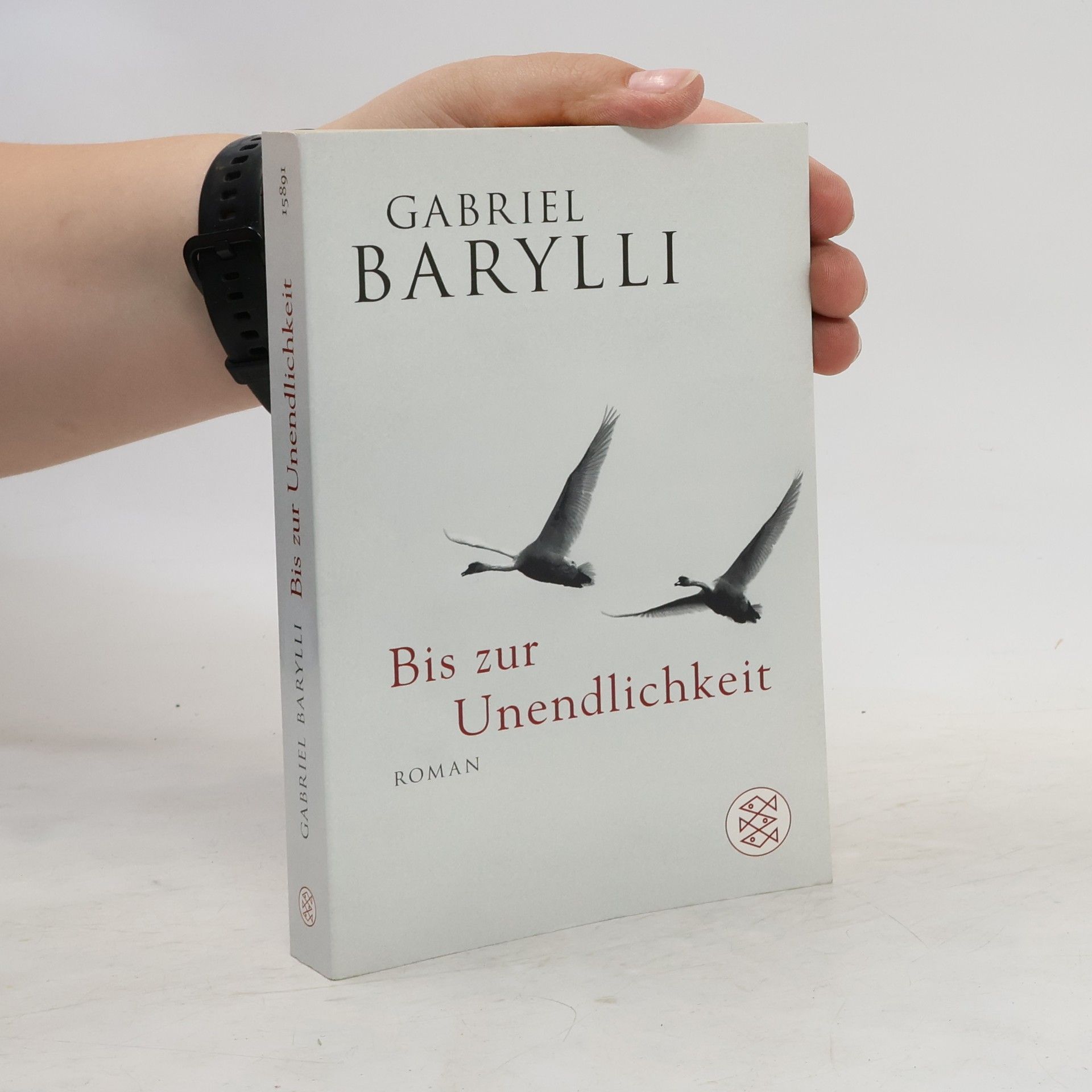 Gabriel Barylli Bis zur Unendlichkeit