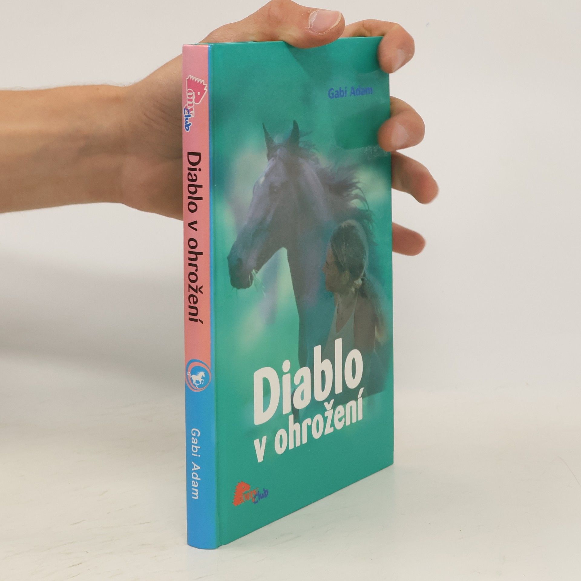 Gabi Adam Diablo v ohrožení. Diablo 2