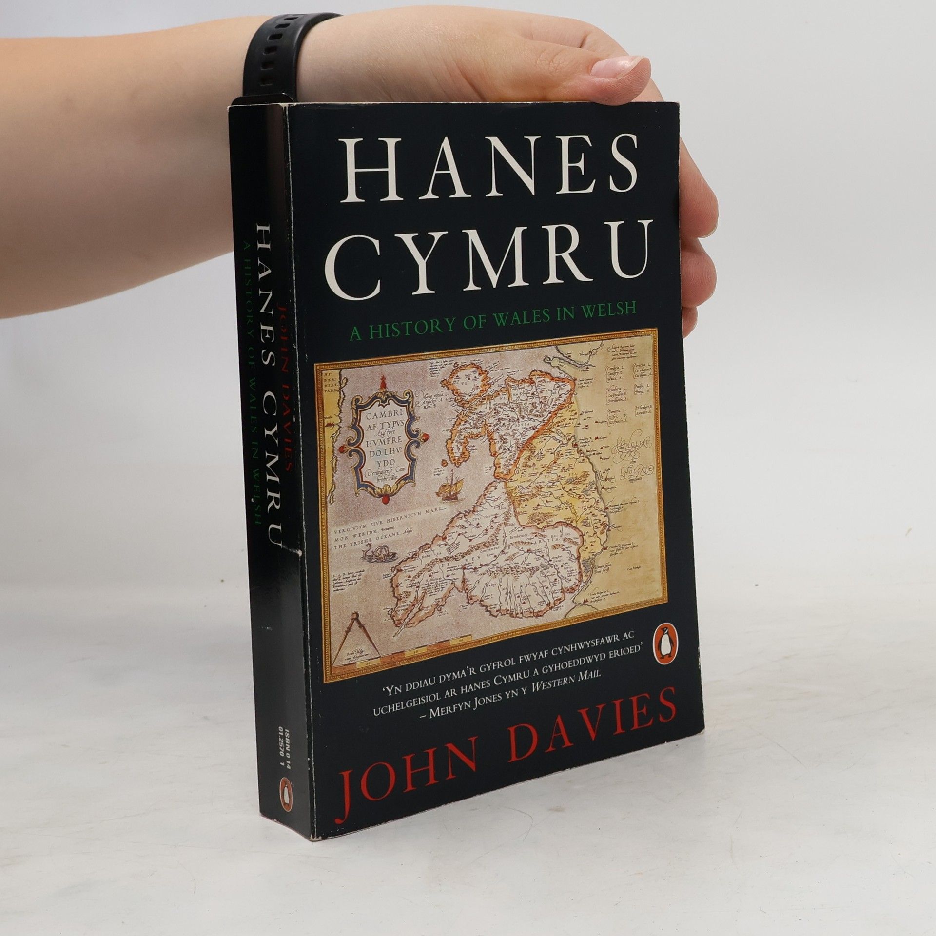 John Davies Hanes Cymru