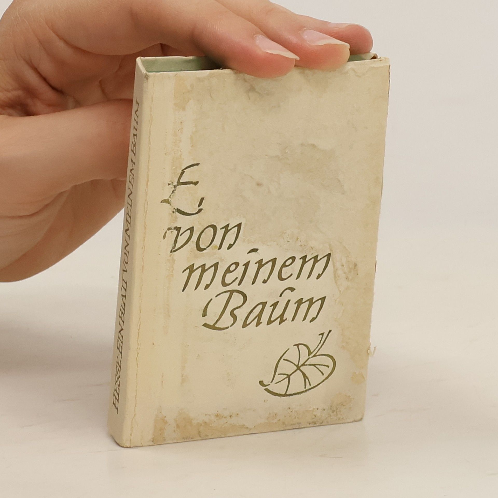 Hermann Hesse Ein Blatt von meinem Baum
