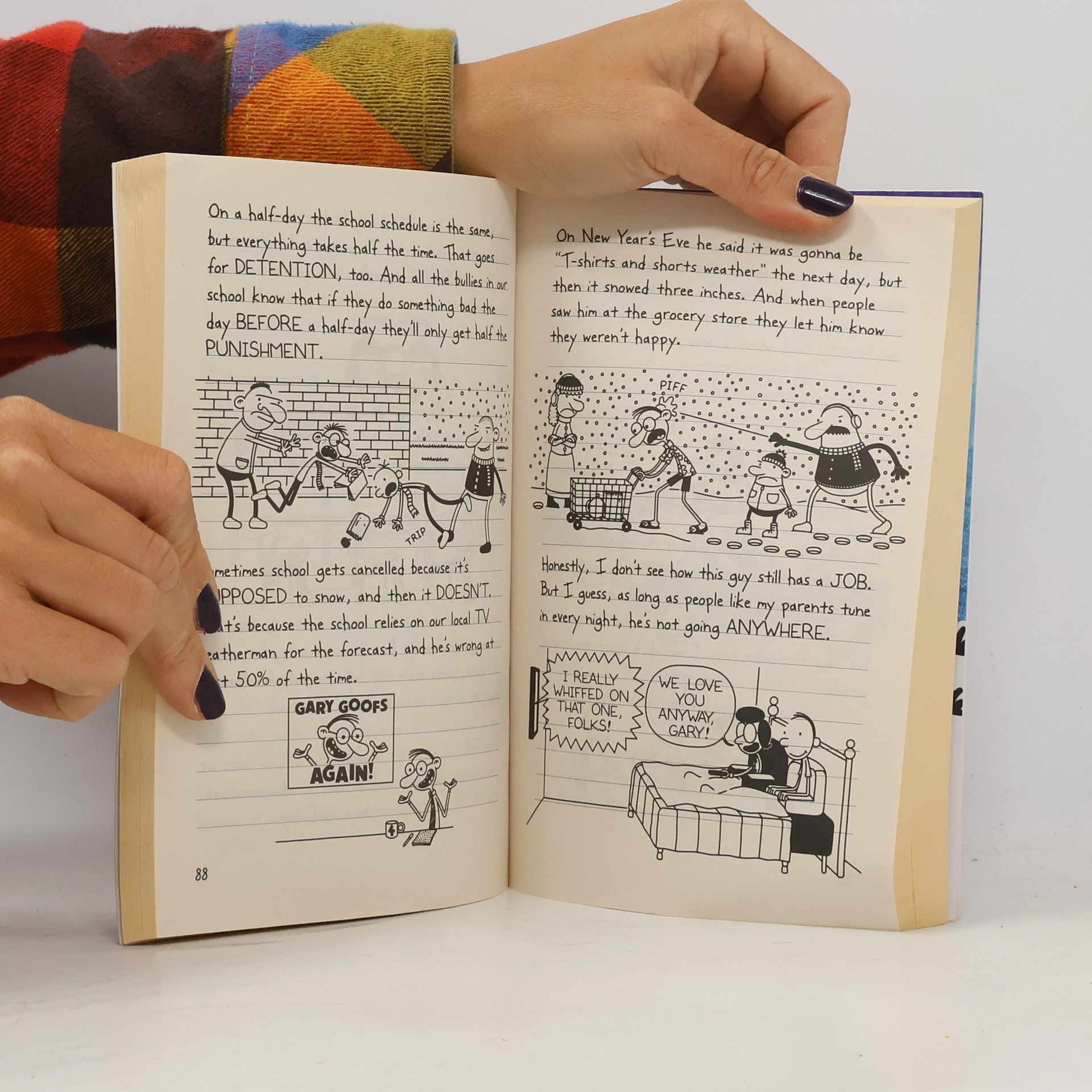 Jeff Kinney Diary of a Wimpy Kid: The Meltdown