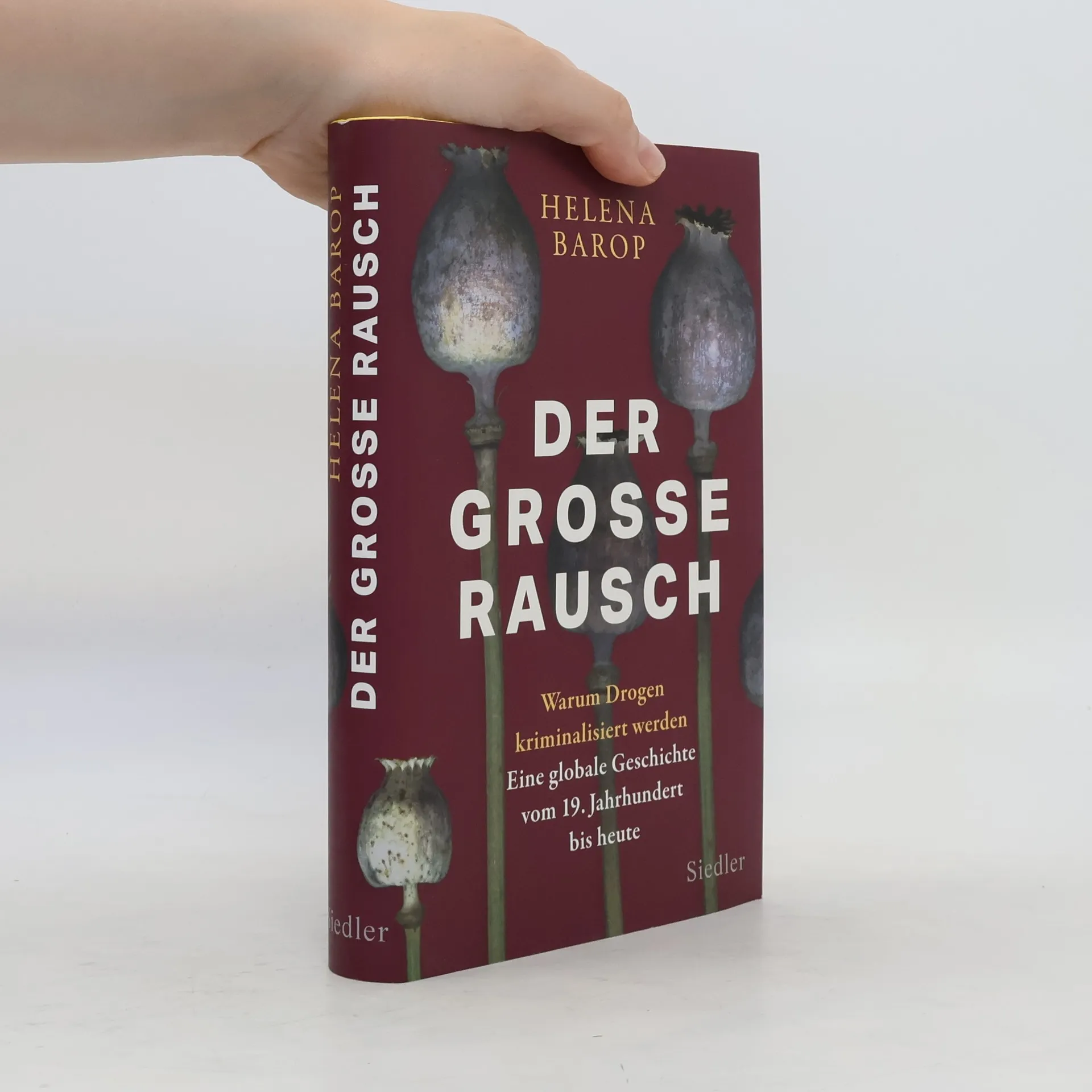 Der große Rausch | Helena Barop | Buch