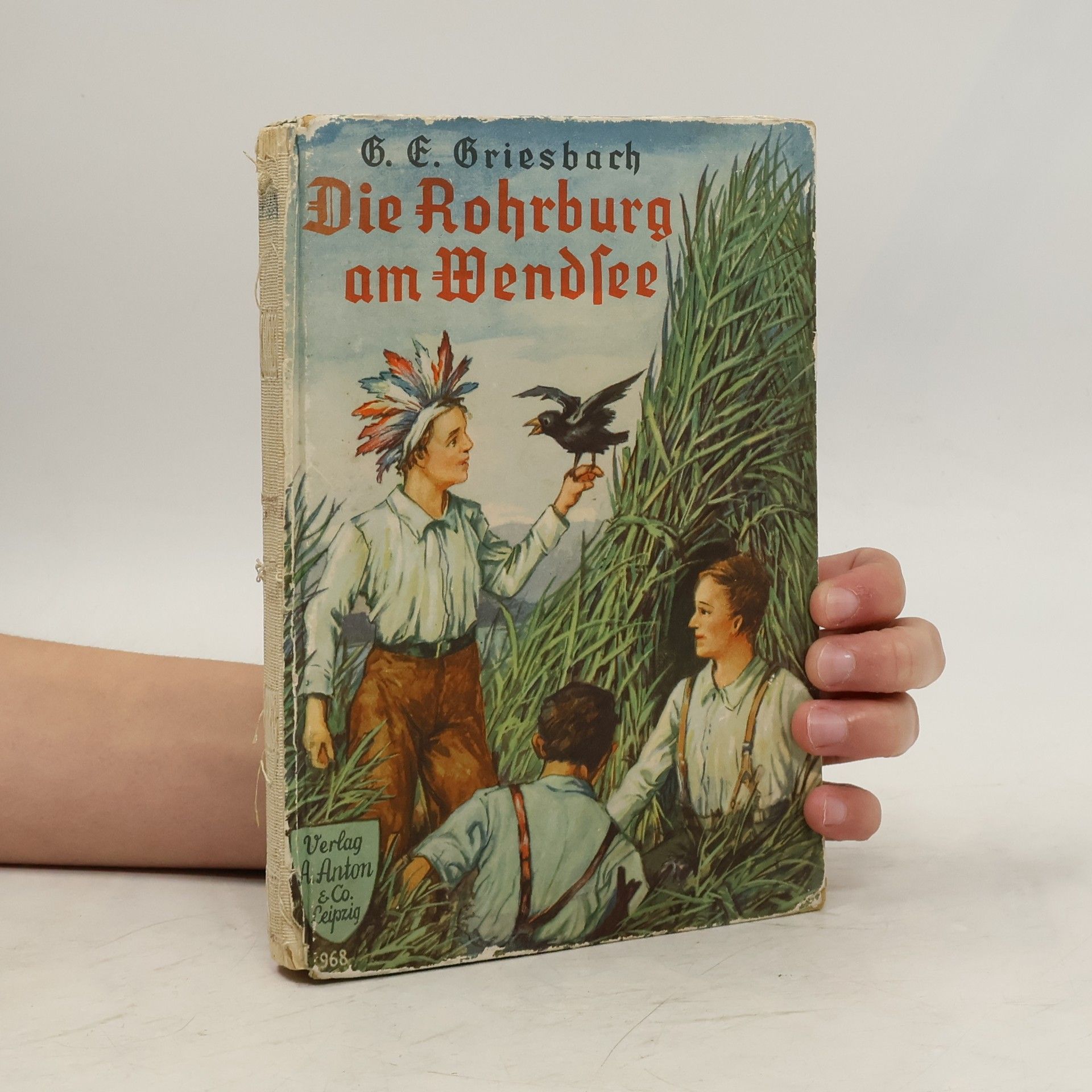 Georg Erich Griesbach Die Rohrburg am Wendsee