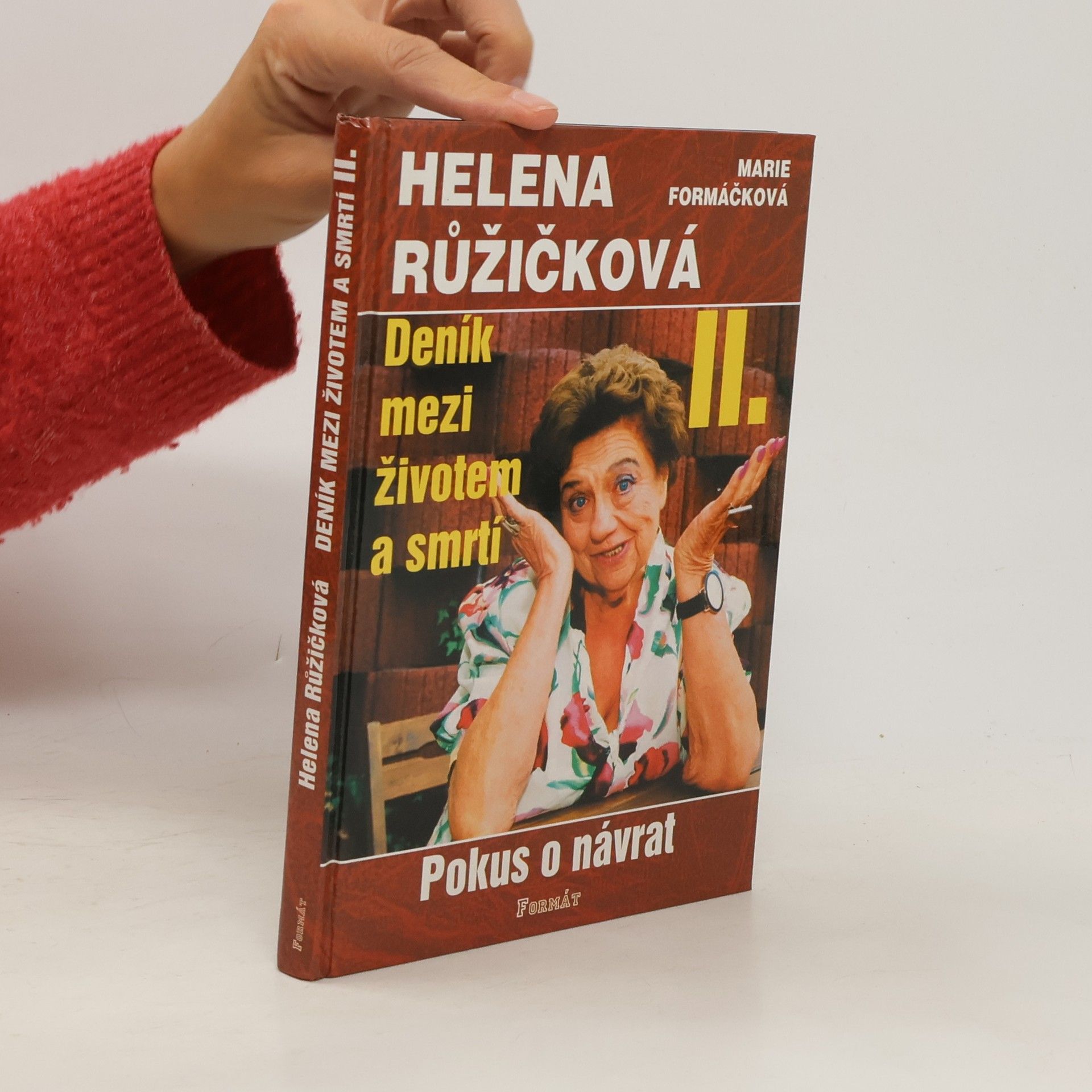 Helena Růžičková Deník mezi životem a smrtí. II., Pokus o návrat