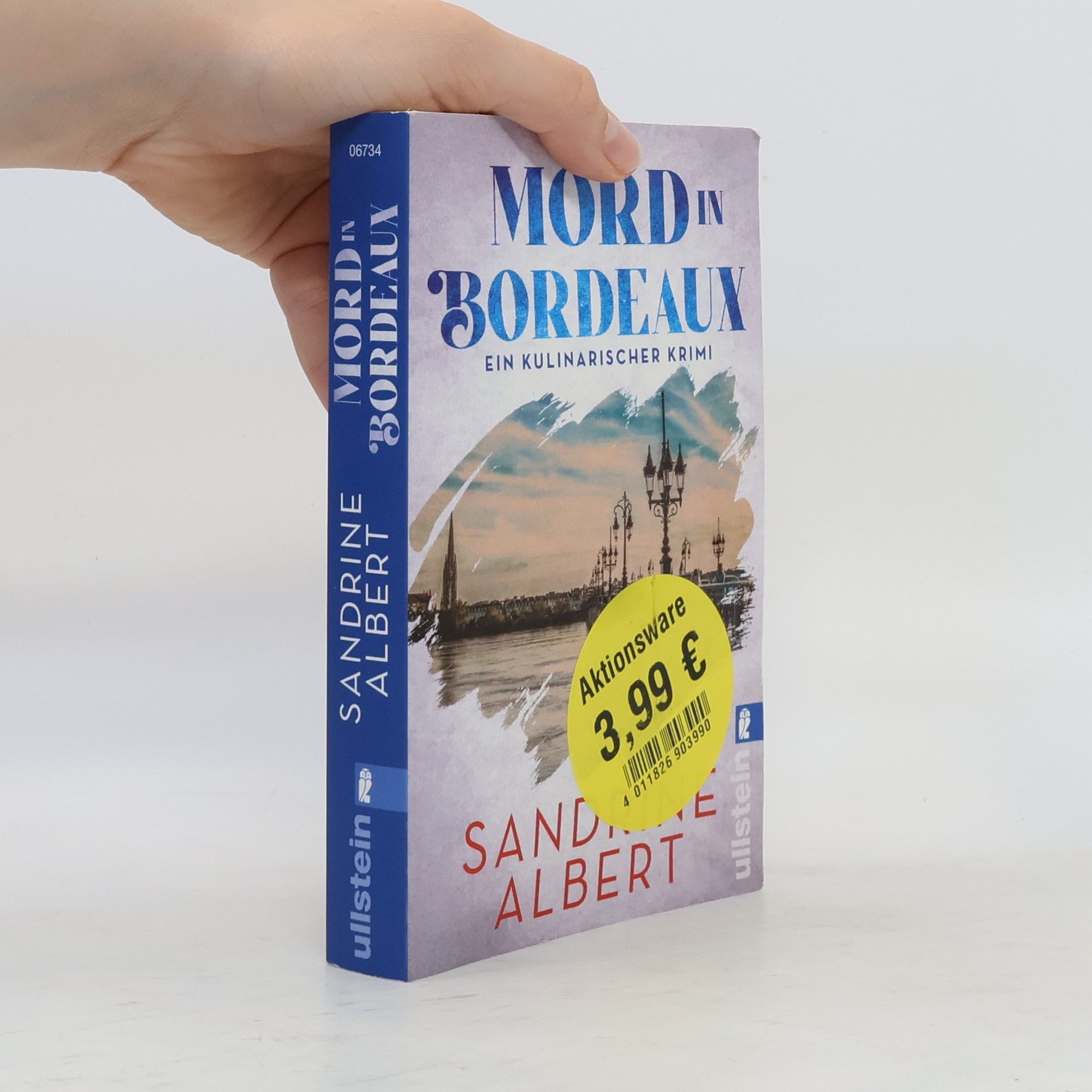 Sandrine Albert Mord in Bordeaux (Claire Molinet ermittelt 2)