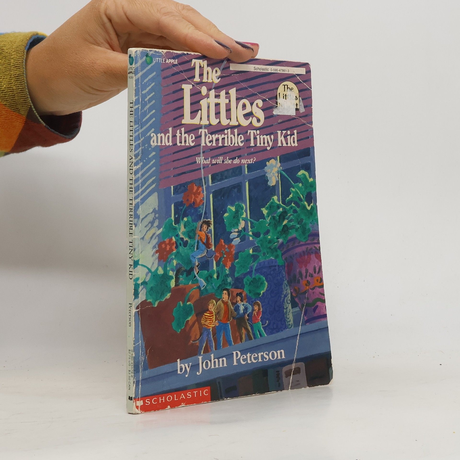 John Peterson The Littles and the Terrible Tiny Kid