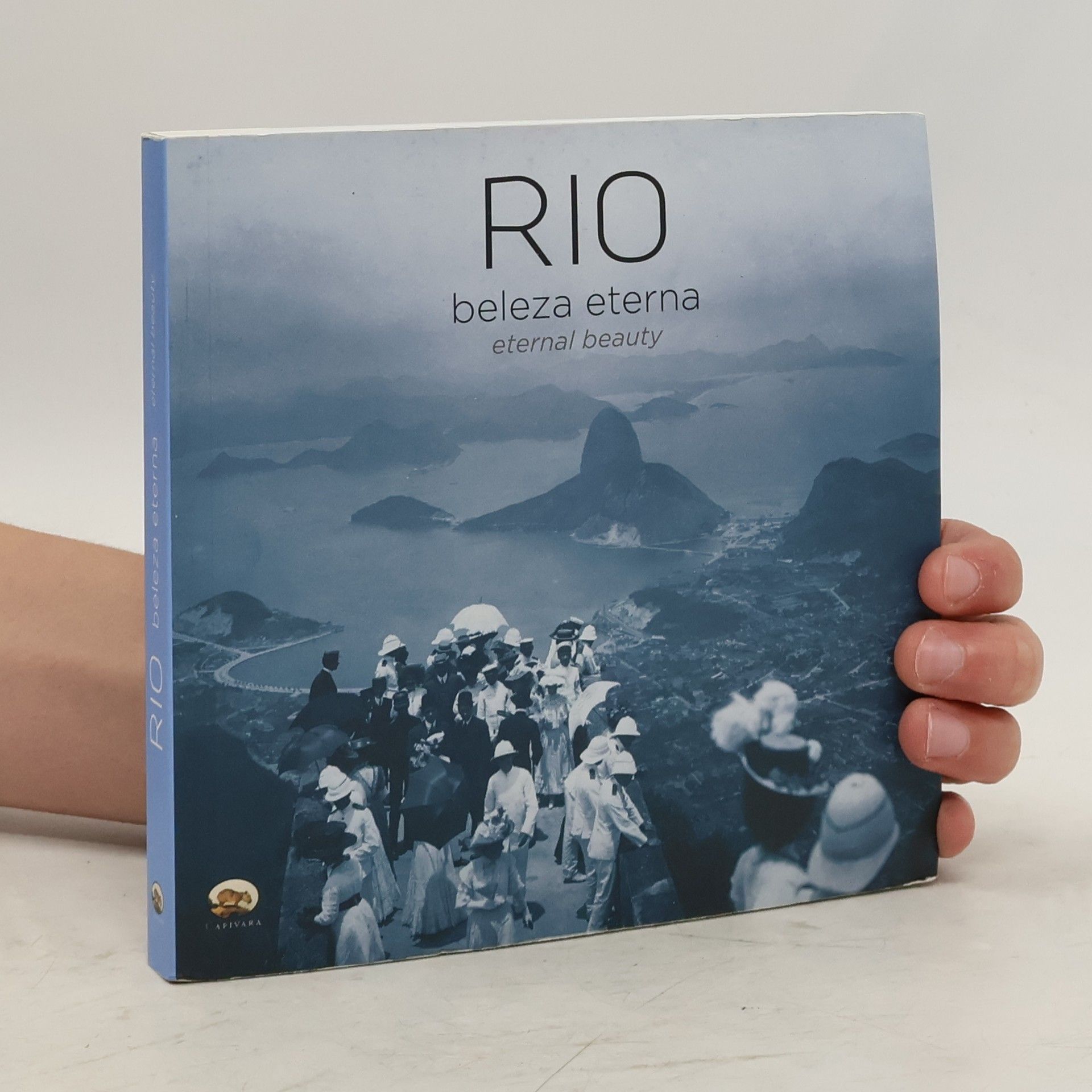 Collectif d'auteurs Rio. Beleza eterna