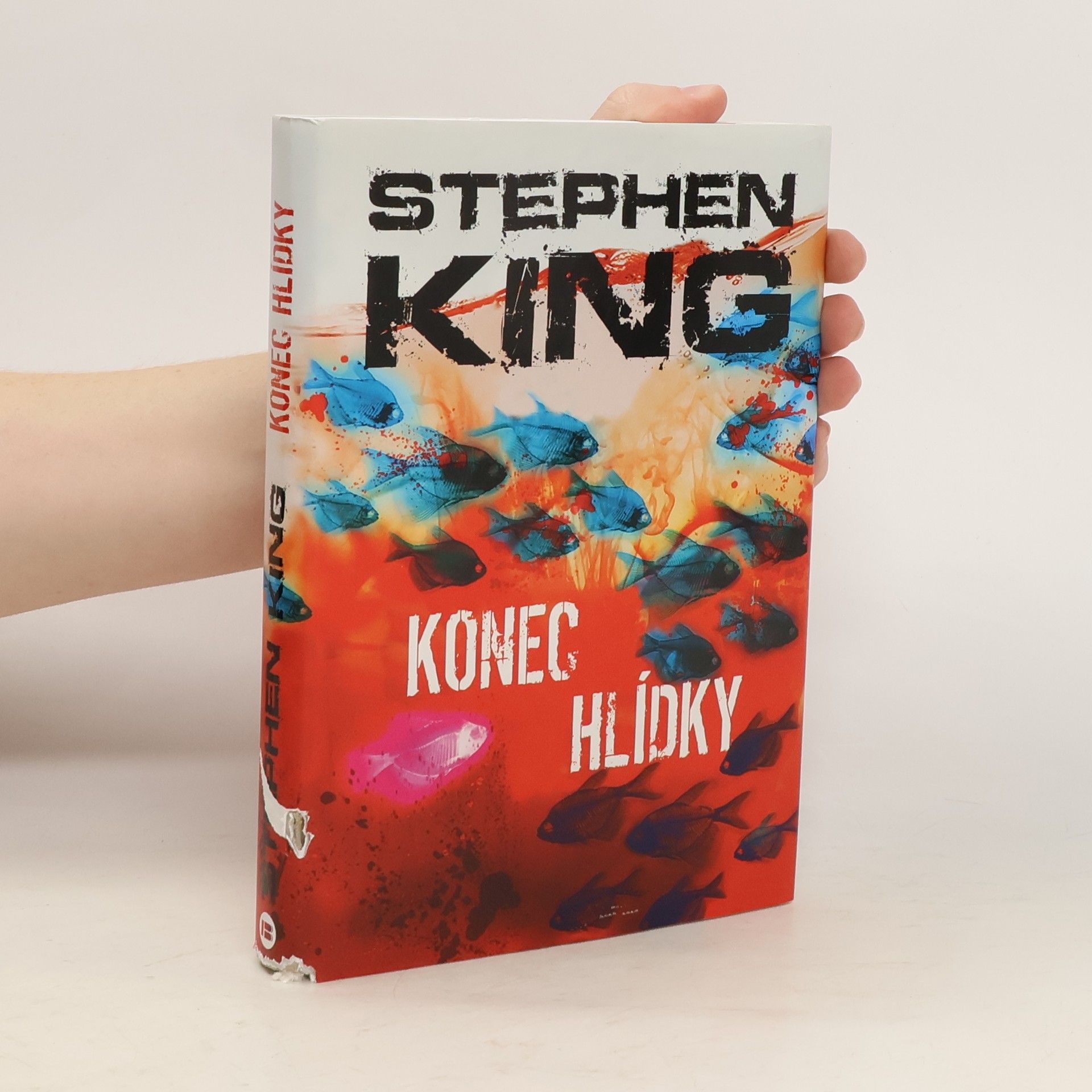 Stephen King Konec hlídky