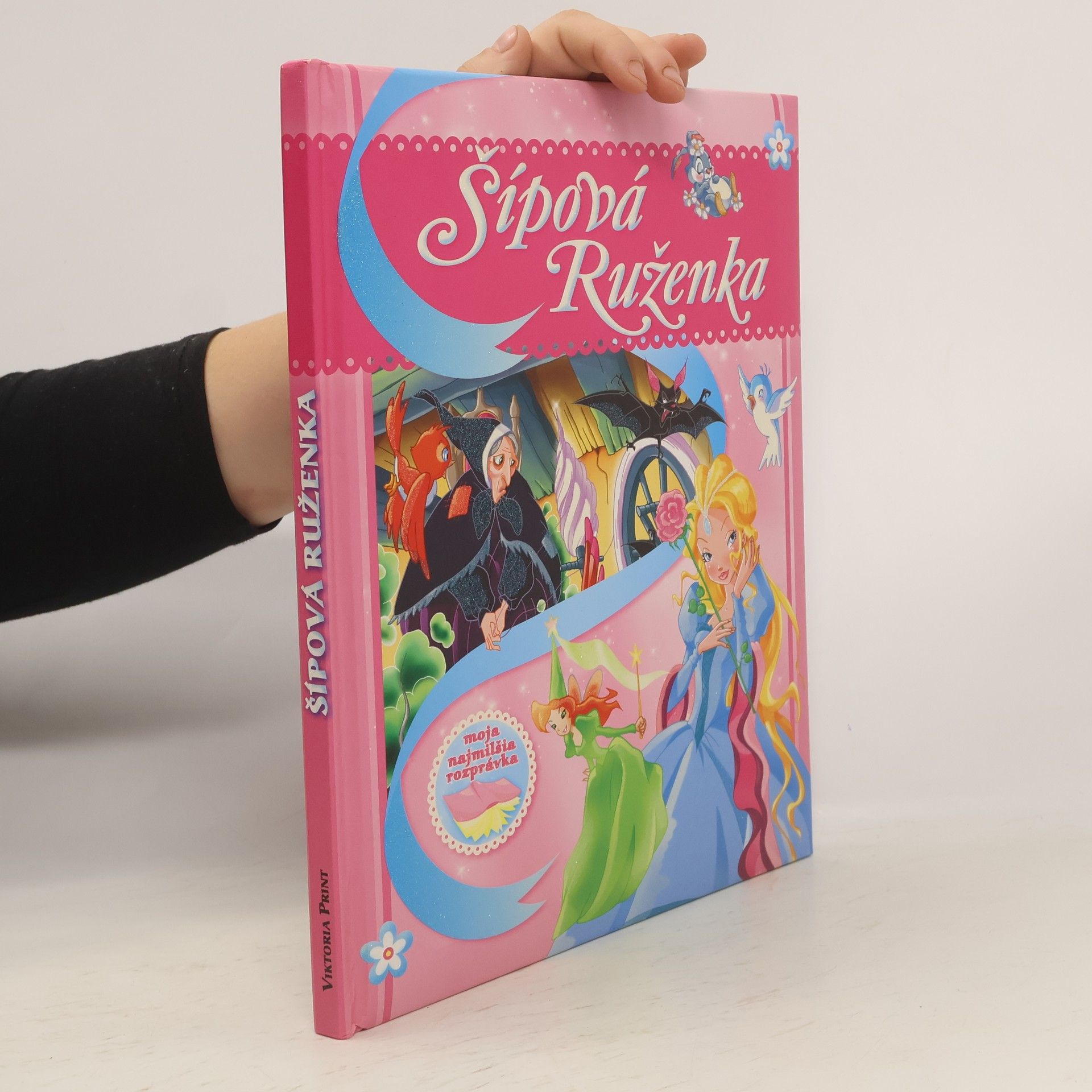 Collectif d'auteurs Šípová Ruženka