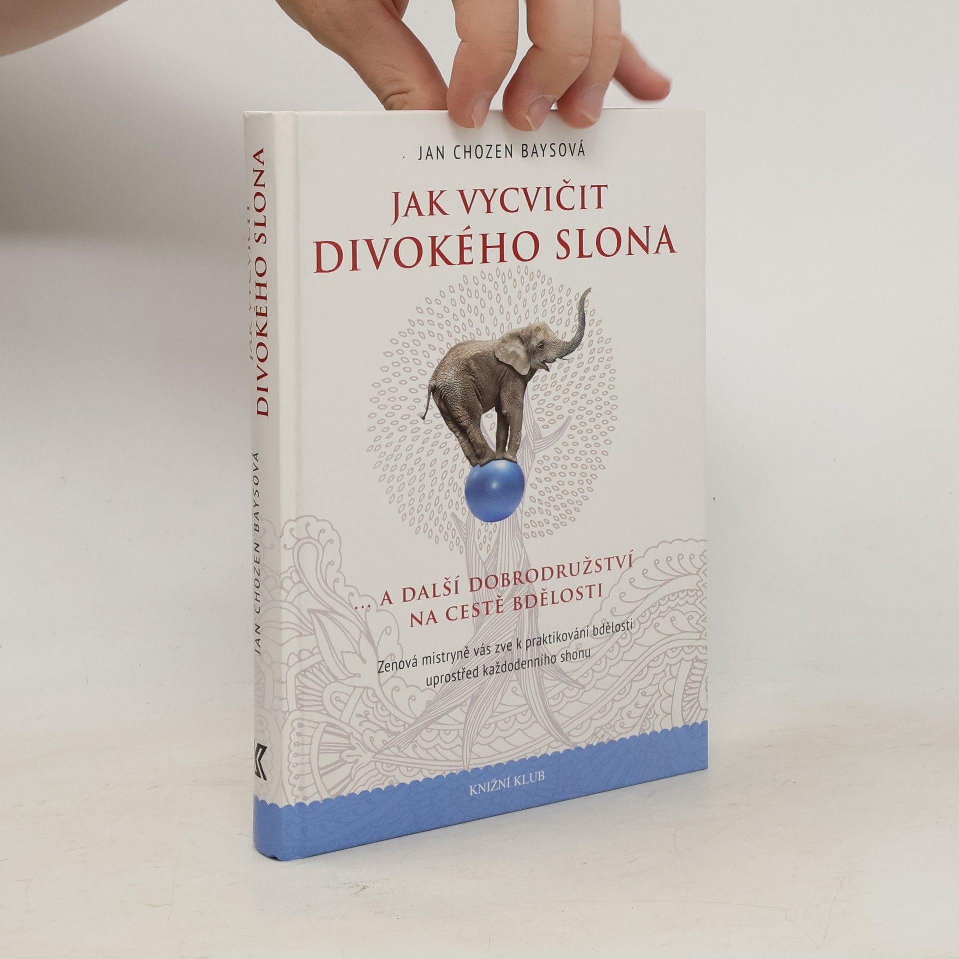 Jan Chozen Bays Jak vycvičit divokého slona...a další dobrodružství na cestě bdělosti