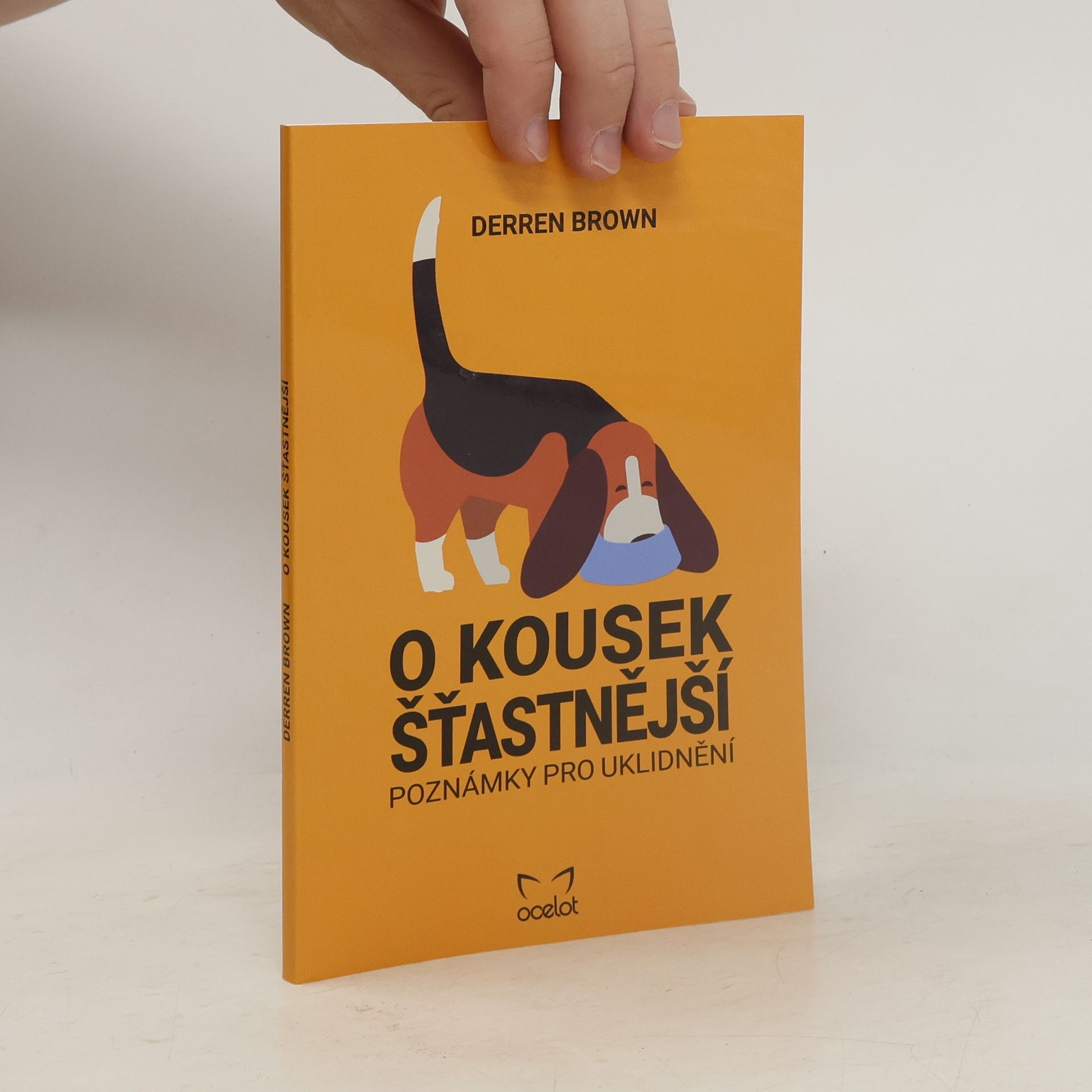 Derren Brown O kousek šťastnější