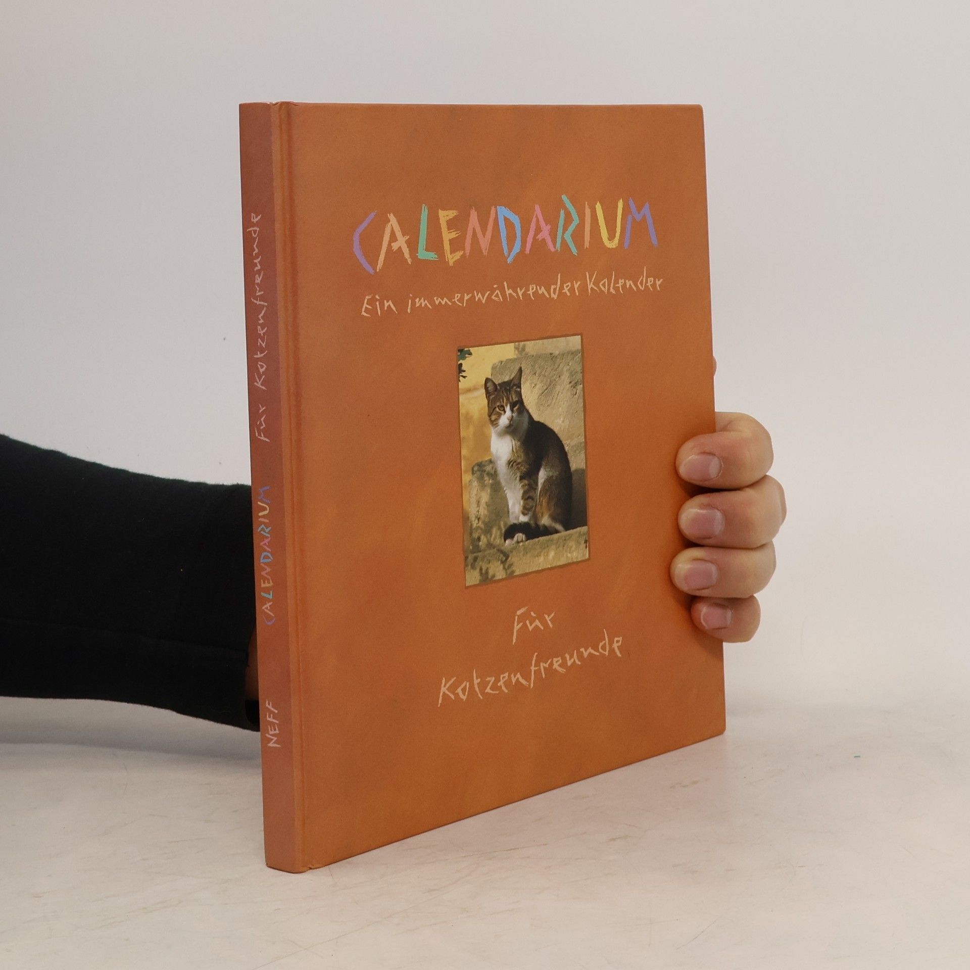 Collectif d'auteurs Calendarium für Katzenfreude