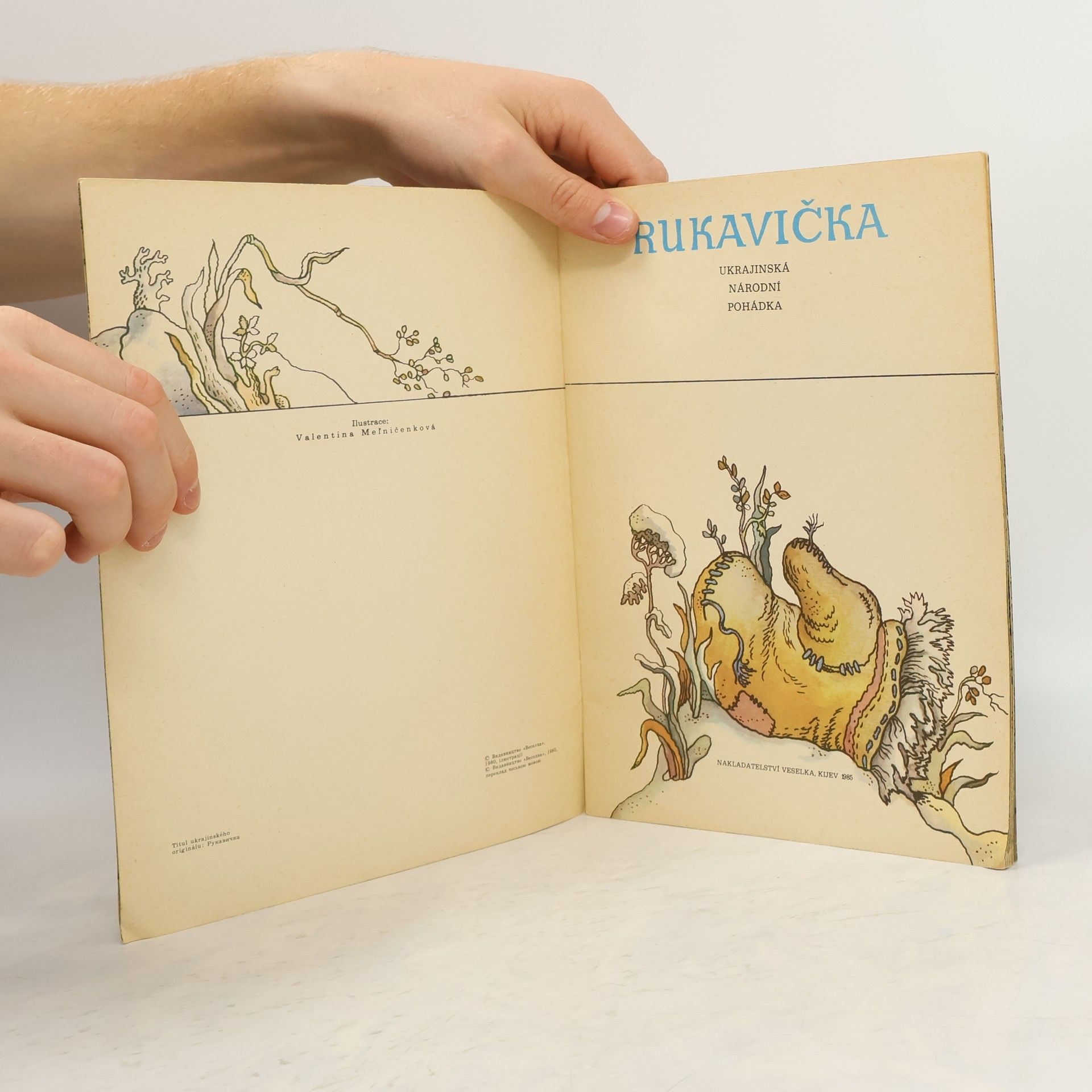 Kolektiv autorů Rukavička