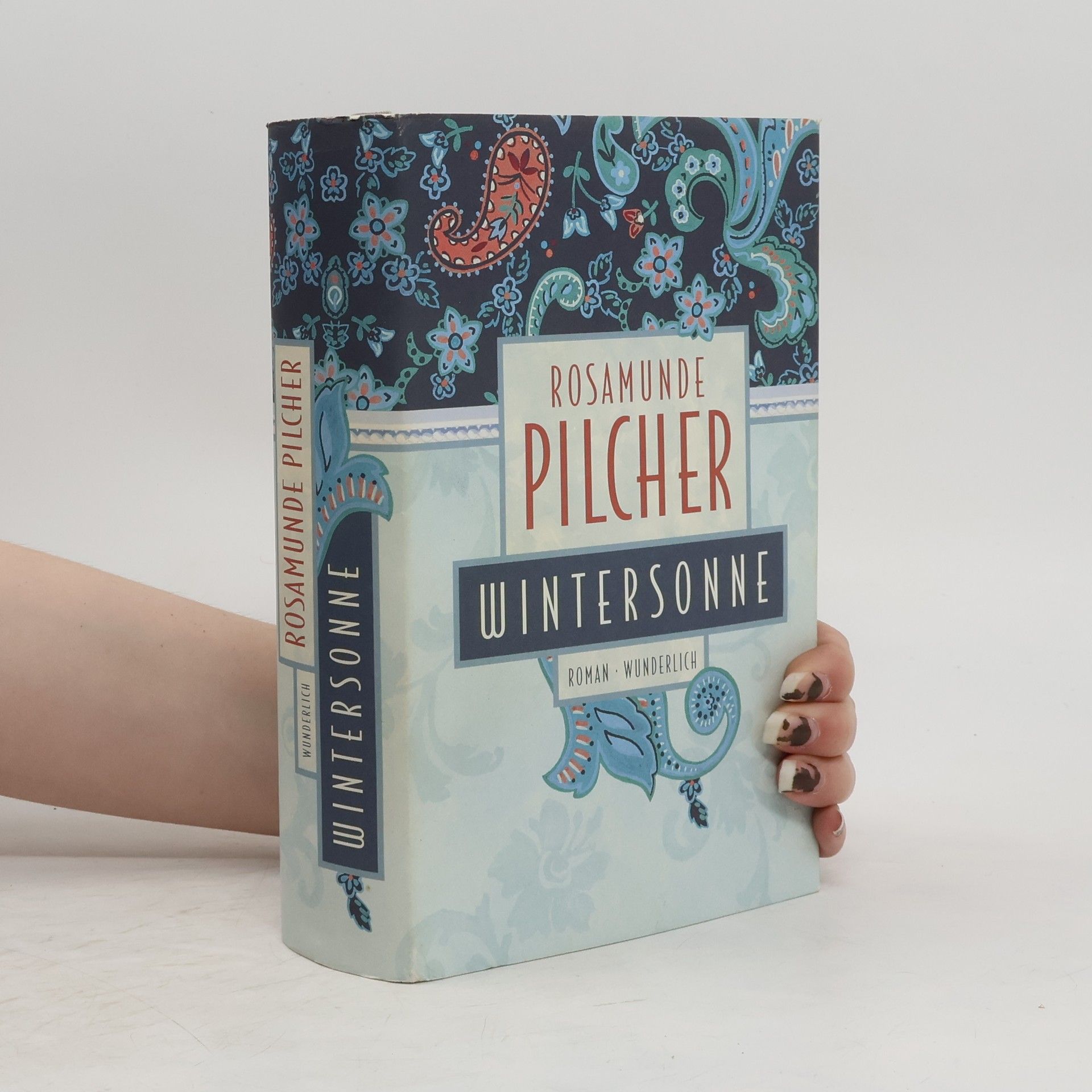 Rosamunde Pilcher Wintersonne