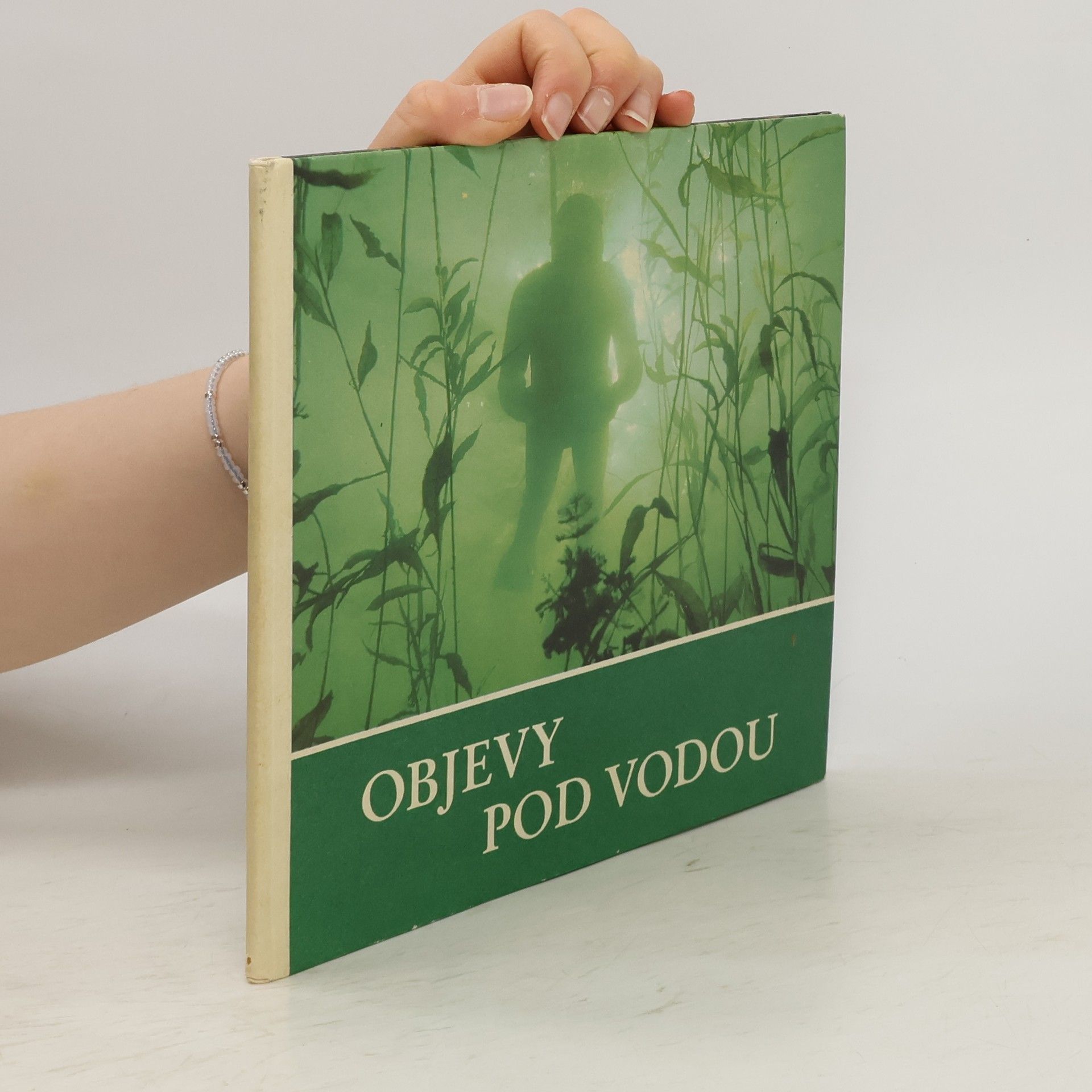 Werner Fiedler Objevy pod vodou