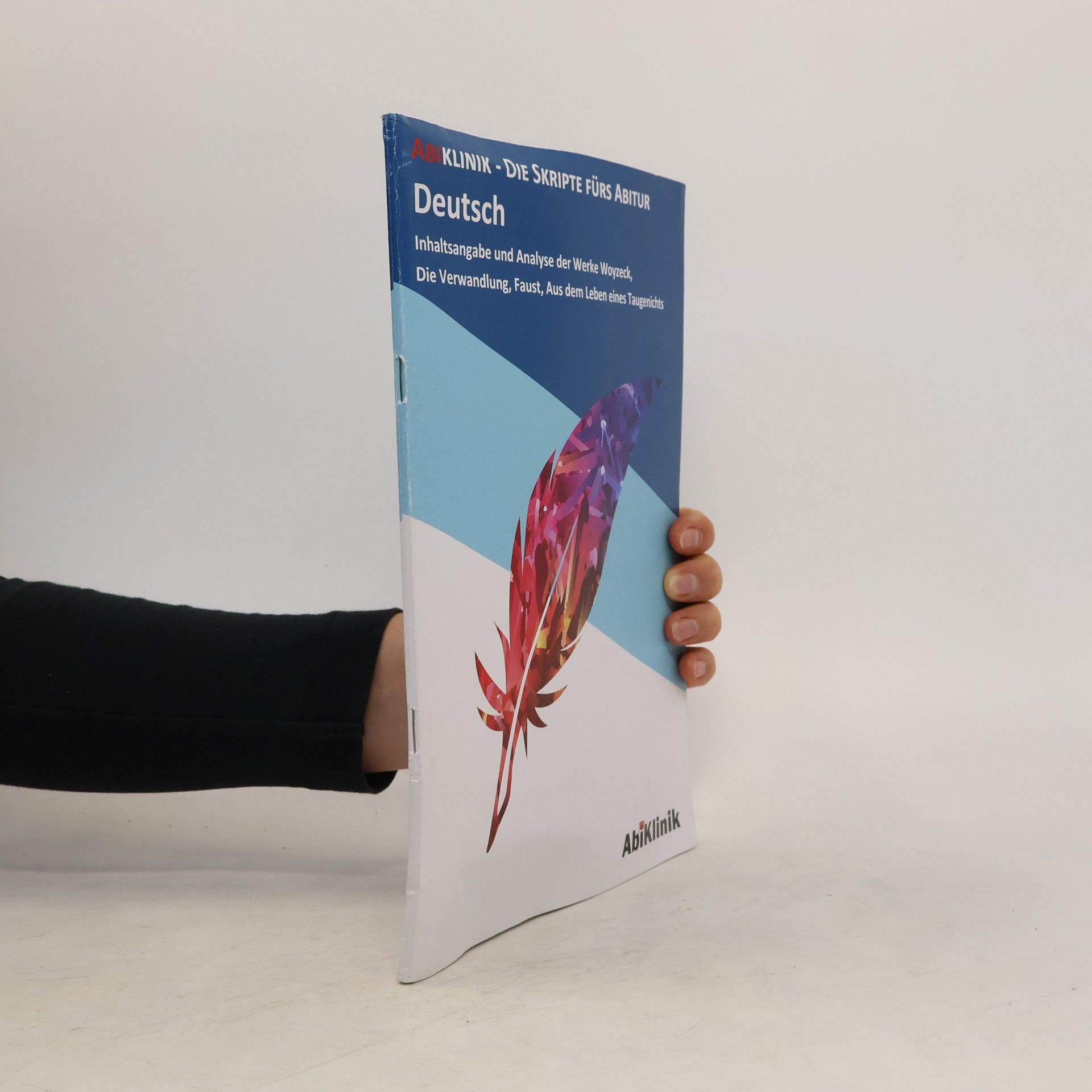 Milena Meisinger Abiklinik. Die Skripte fürs Abitur. Deutsch