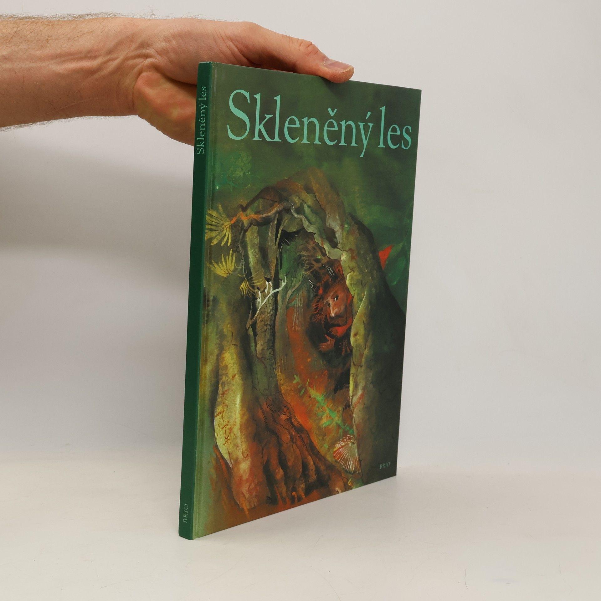 Drijverová Martina Skleněný les