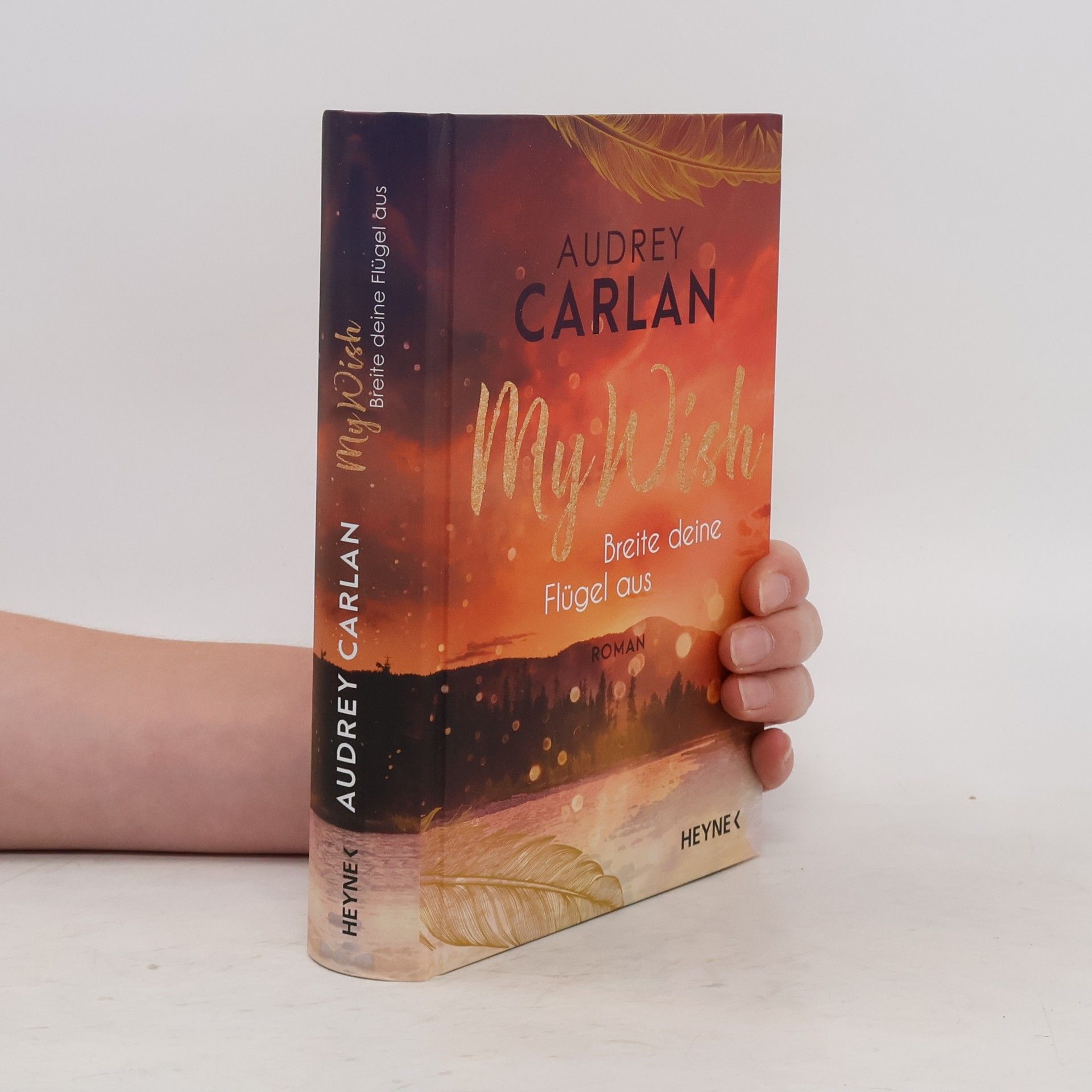 Audrey Carlan My Wish