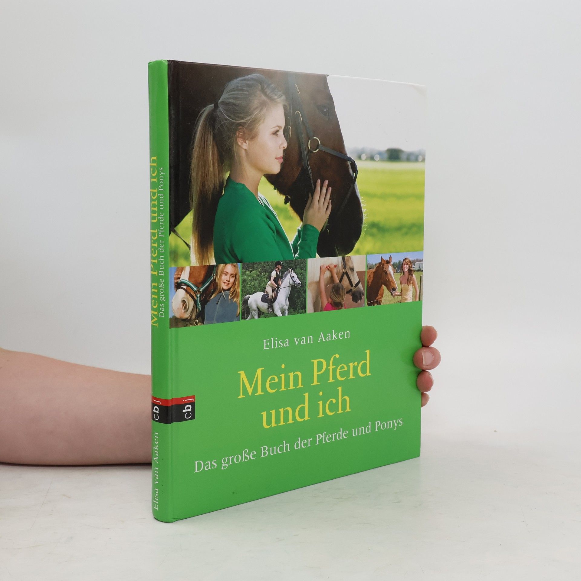 Mein Pferd und ich
