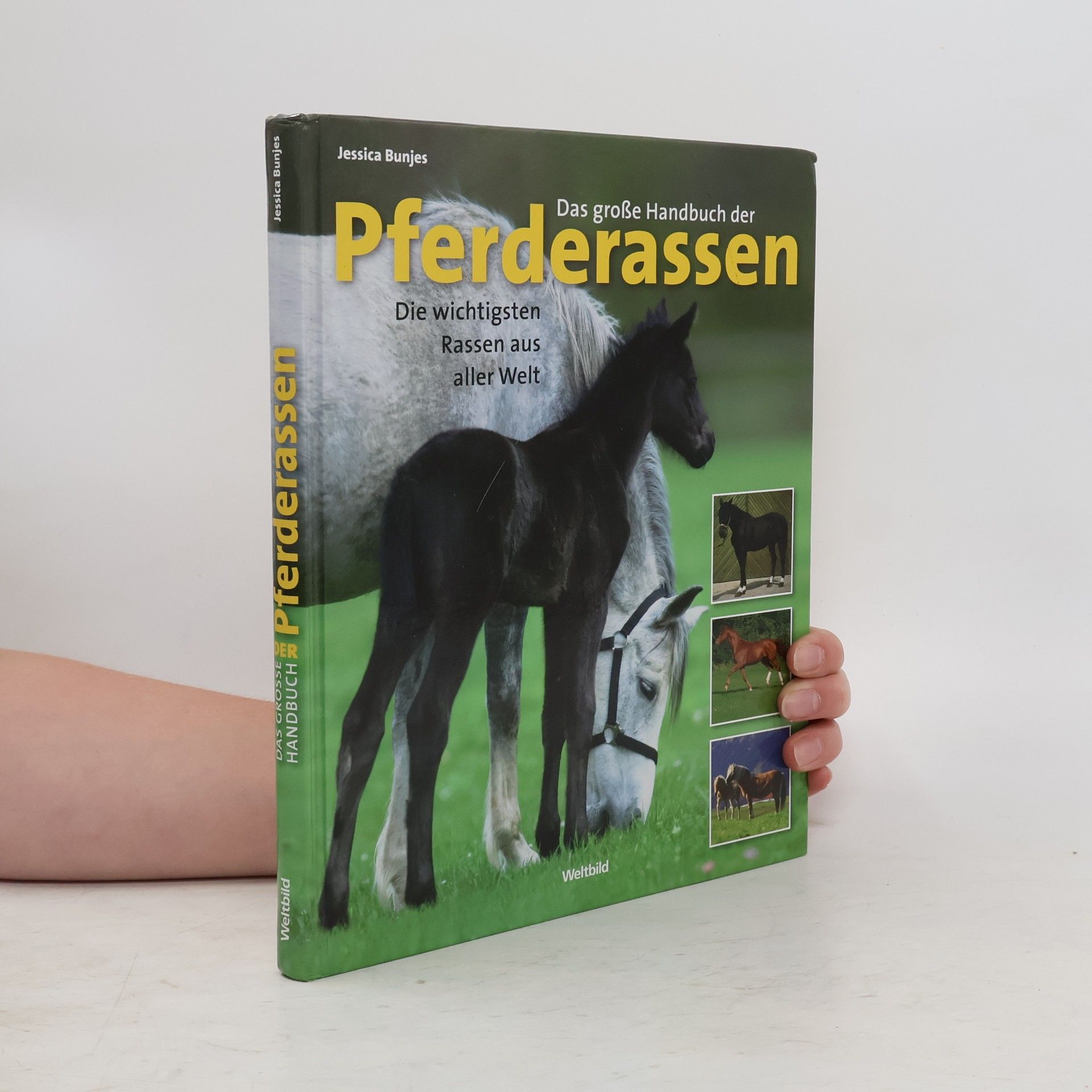 Jessica Bunjes Das große Handbuch der Pferderassen