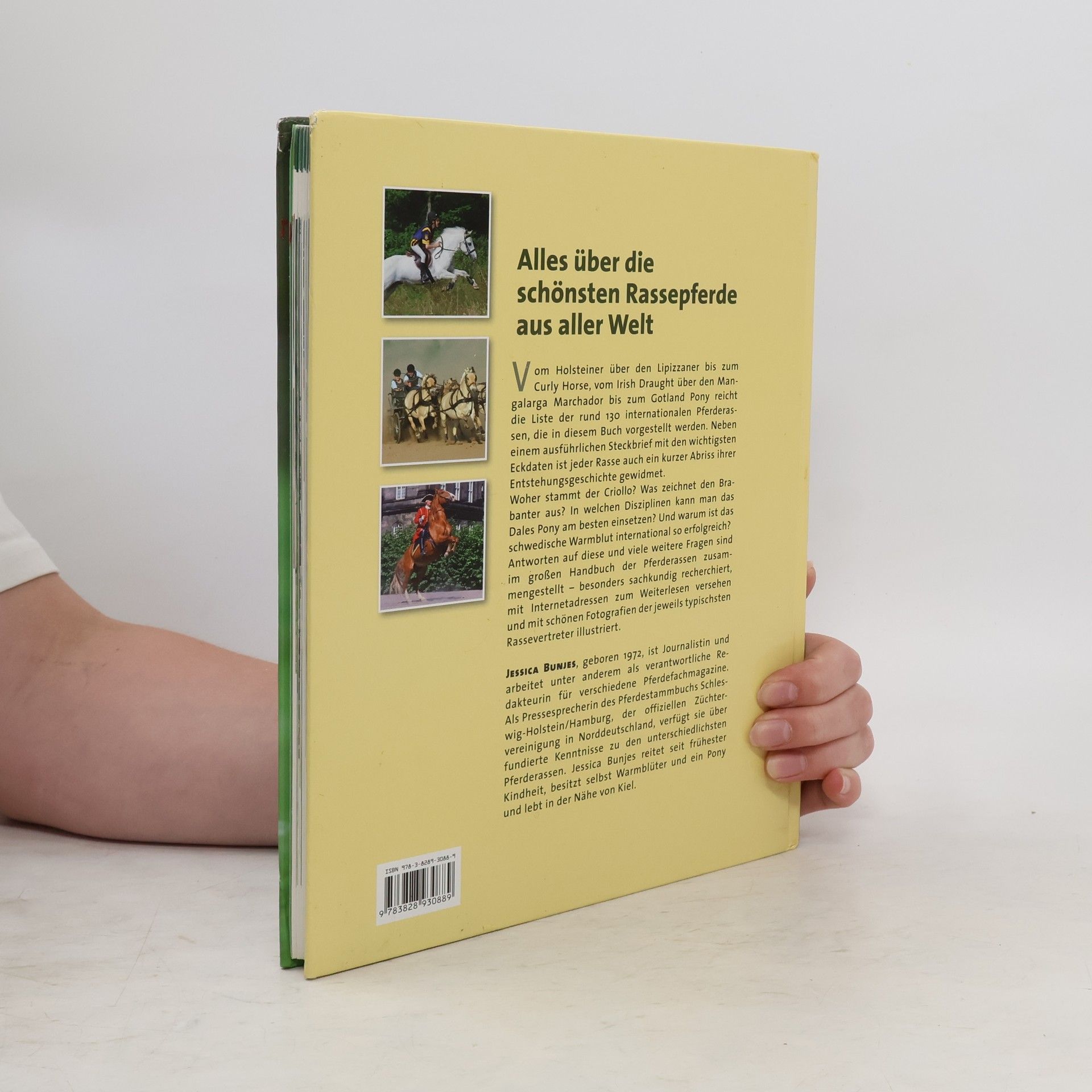 Jessica Bunjes Das große Handbuch der Pferderassen