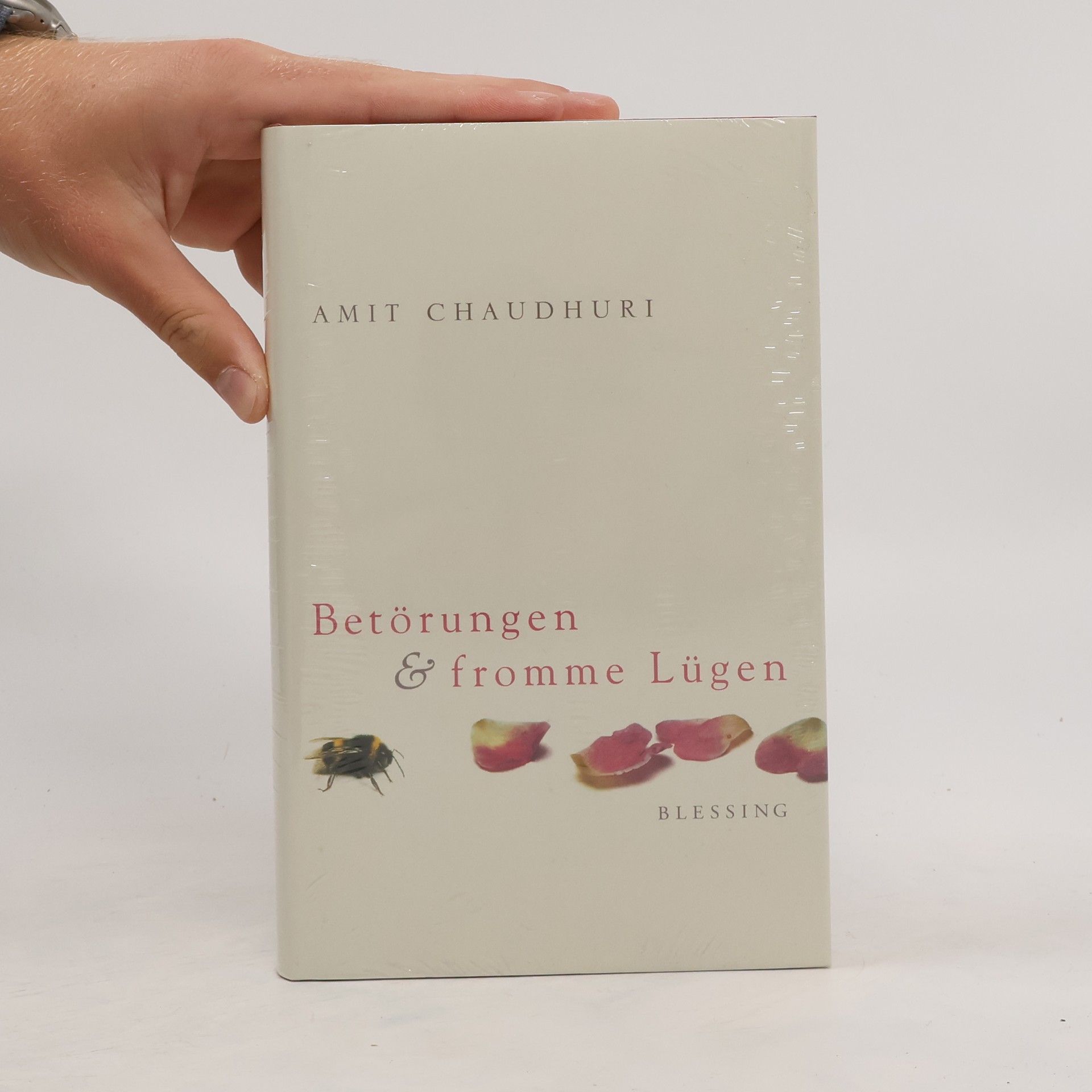Amit Chaudhuri Betörungen und fromme Lügen